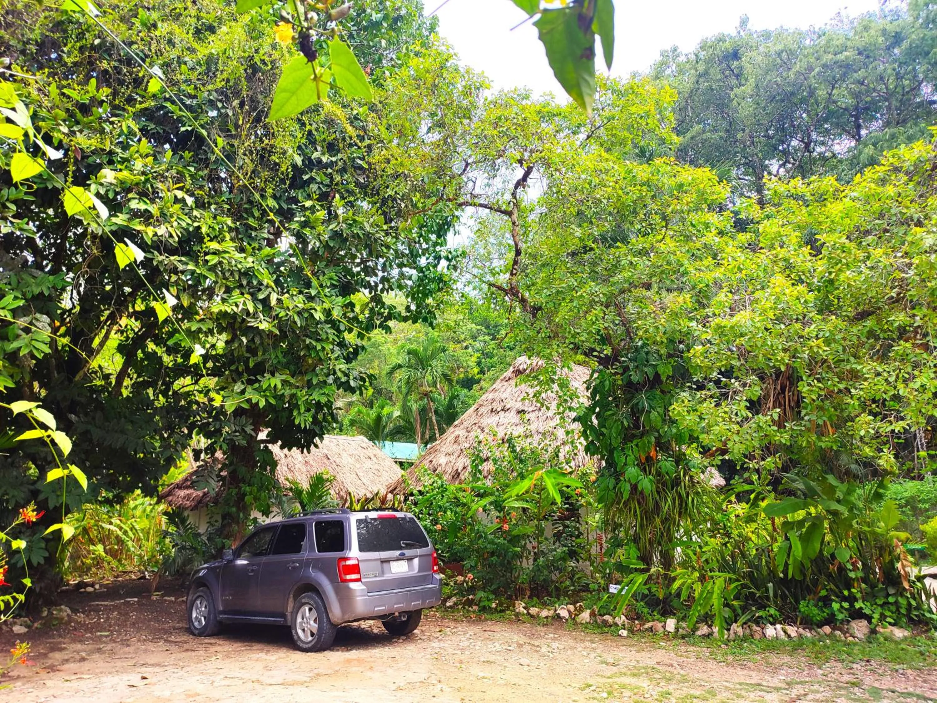 Natural landscape in Maya Mountain Lodge