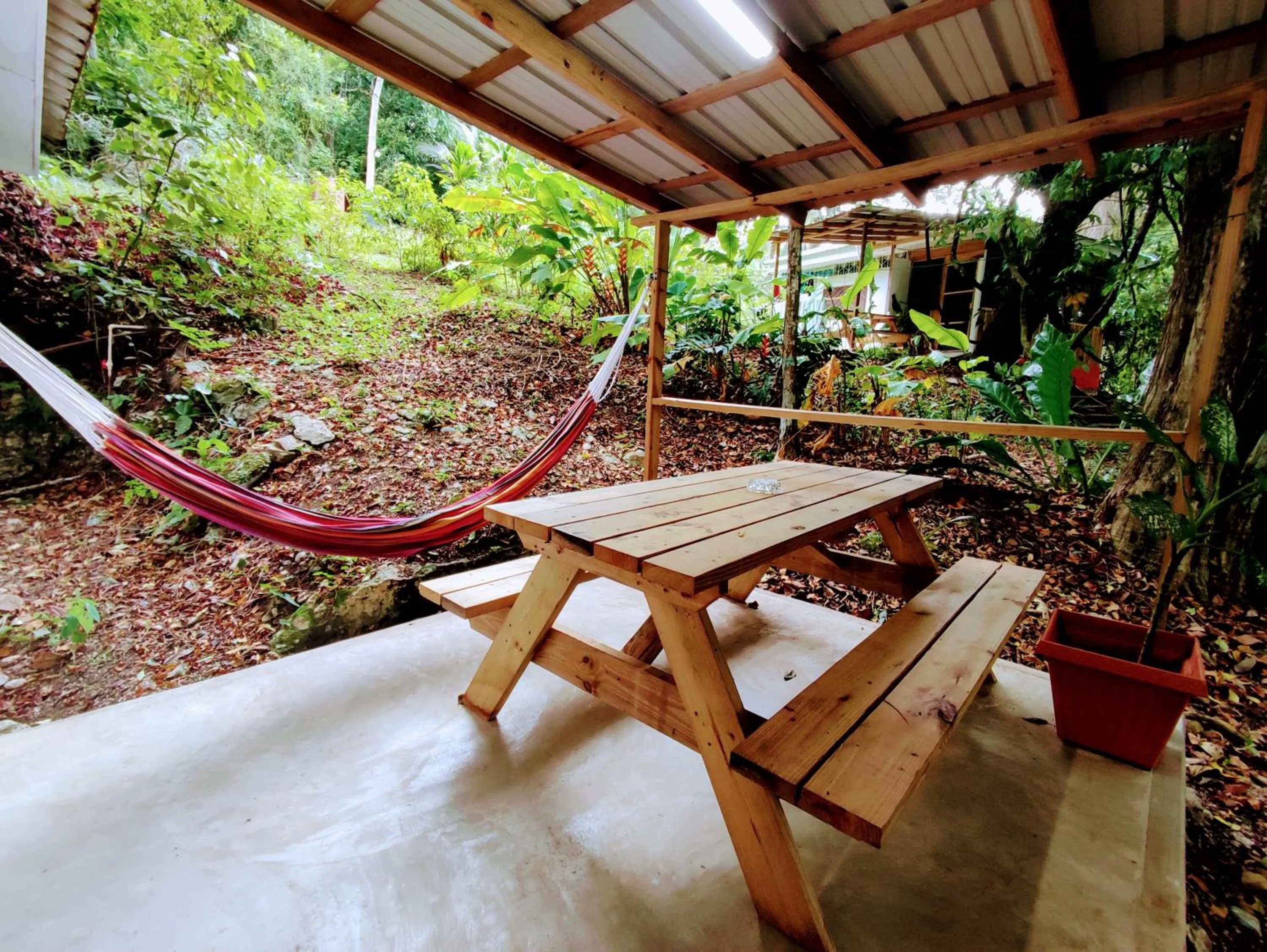 Patio in Maya Mountain Lodge