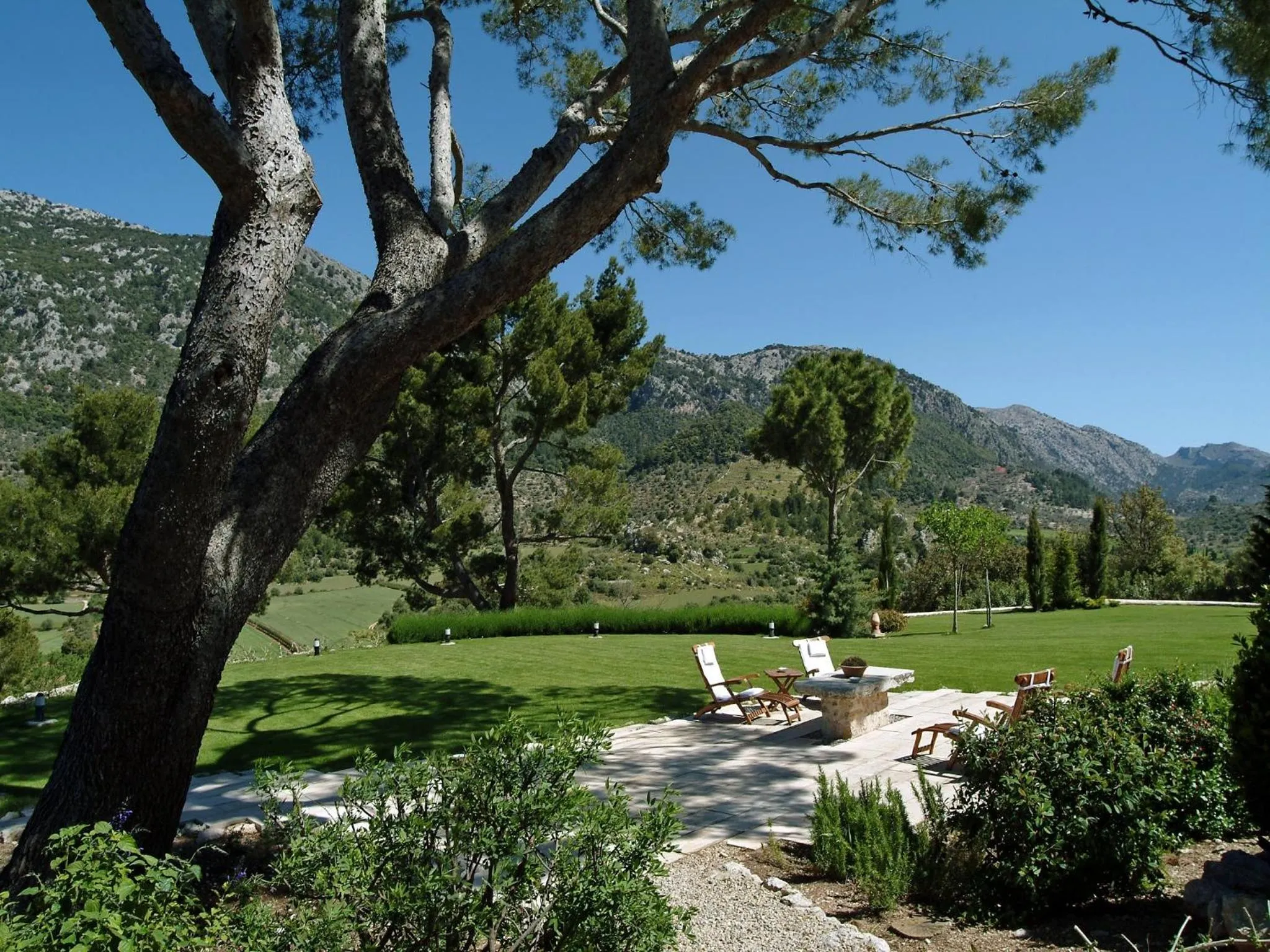 Garden in Finca Hotel Son Palou