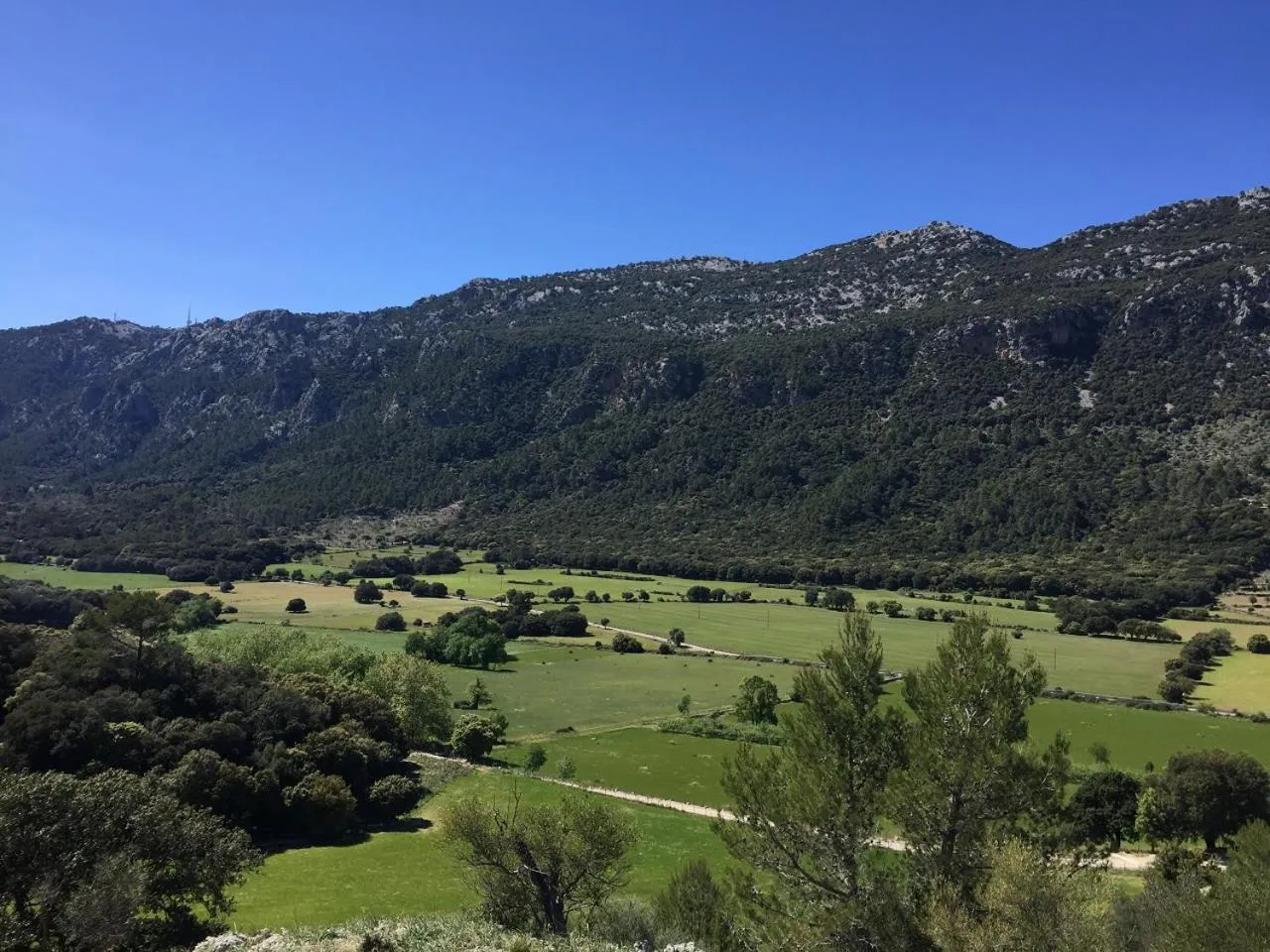 Nearby landmark in Finca Hotel Son Palou