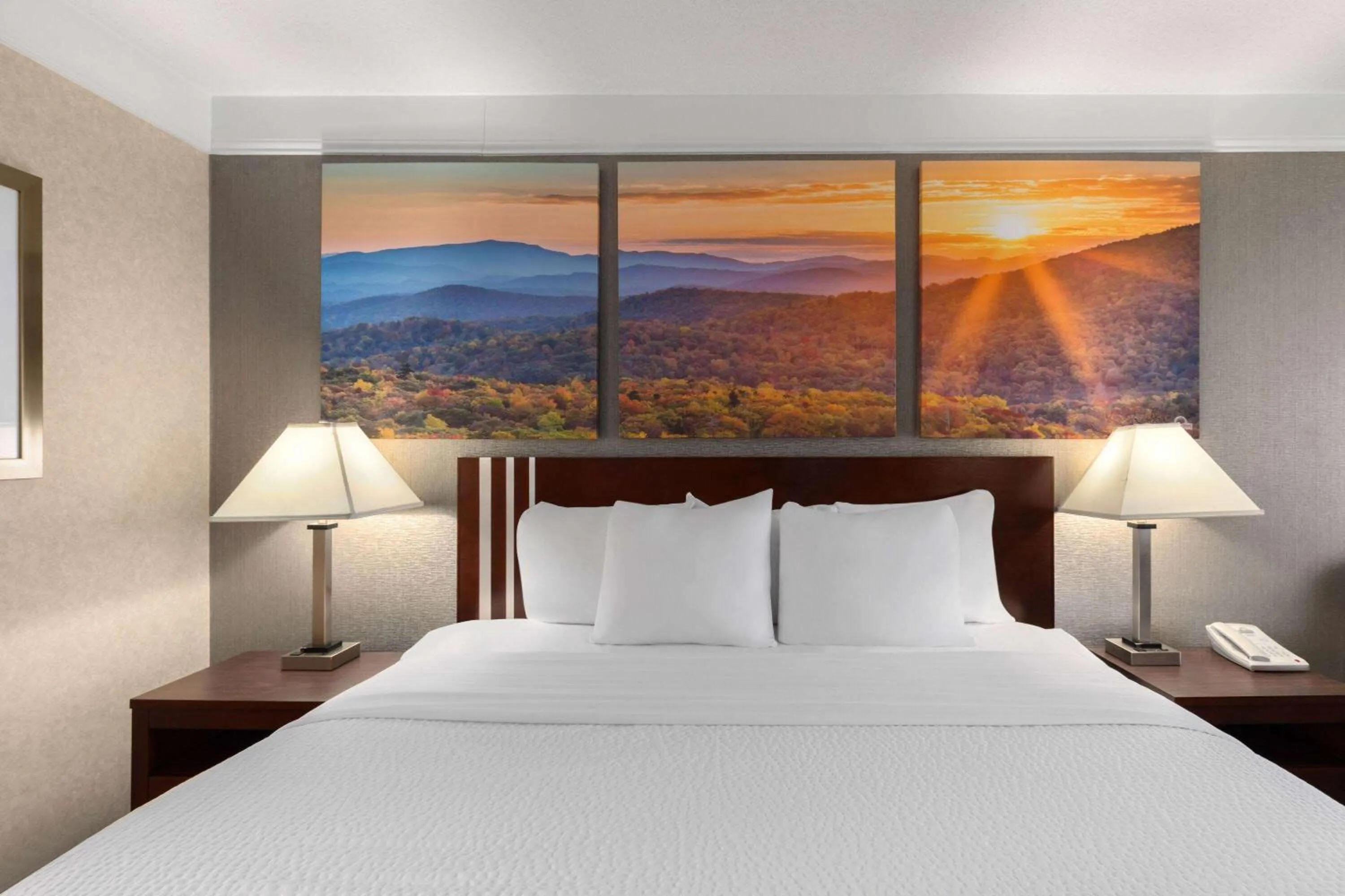 Photo of the whole room, Bed in Days Inn by Wyndham Columbia Kentucky