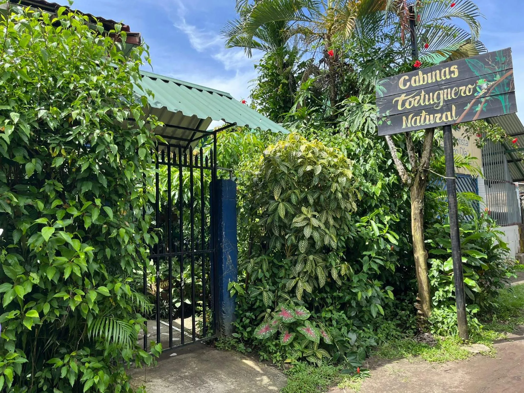 Cabinas Tortuguero Natural