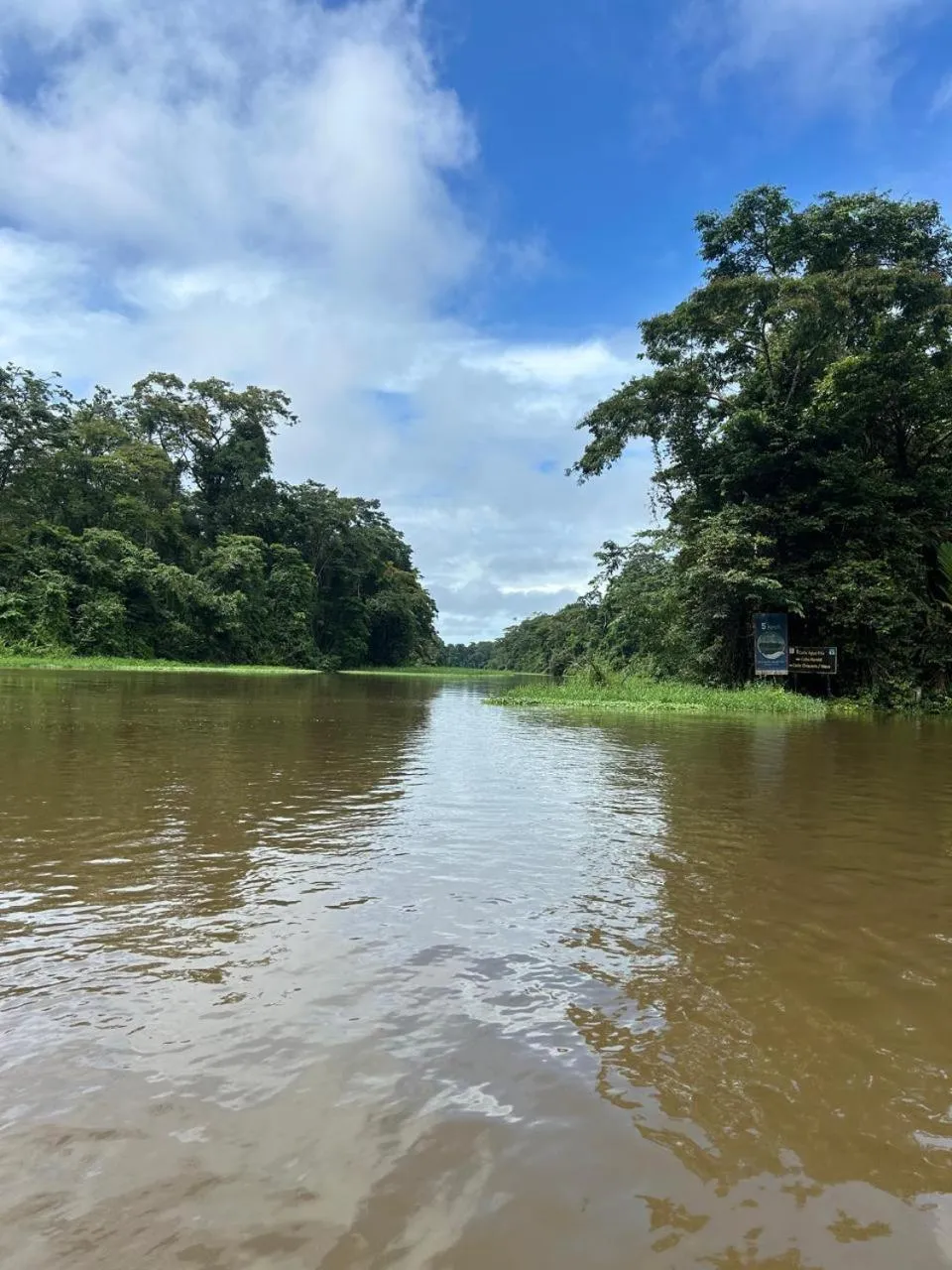 Activities in Cabinas Tortuguero Natural