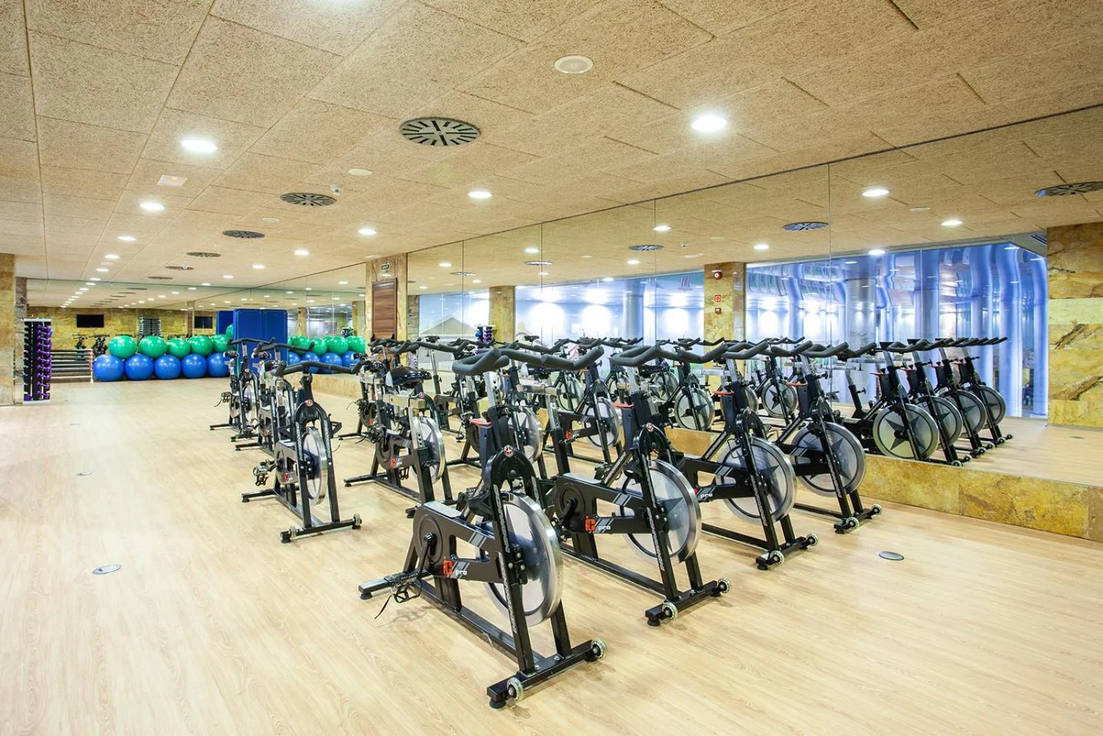 Fitness centre/facilities in Grupotel Playa de Palma Suites & Spa