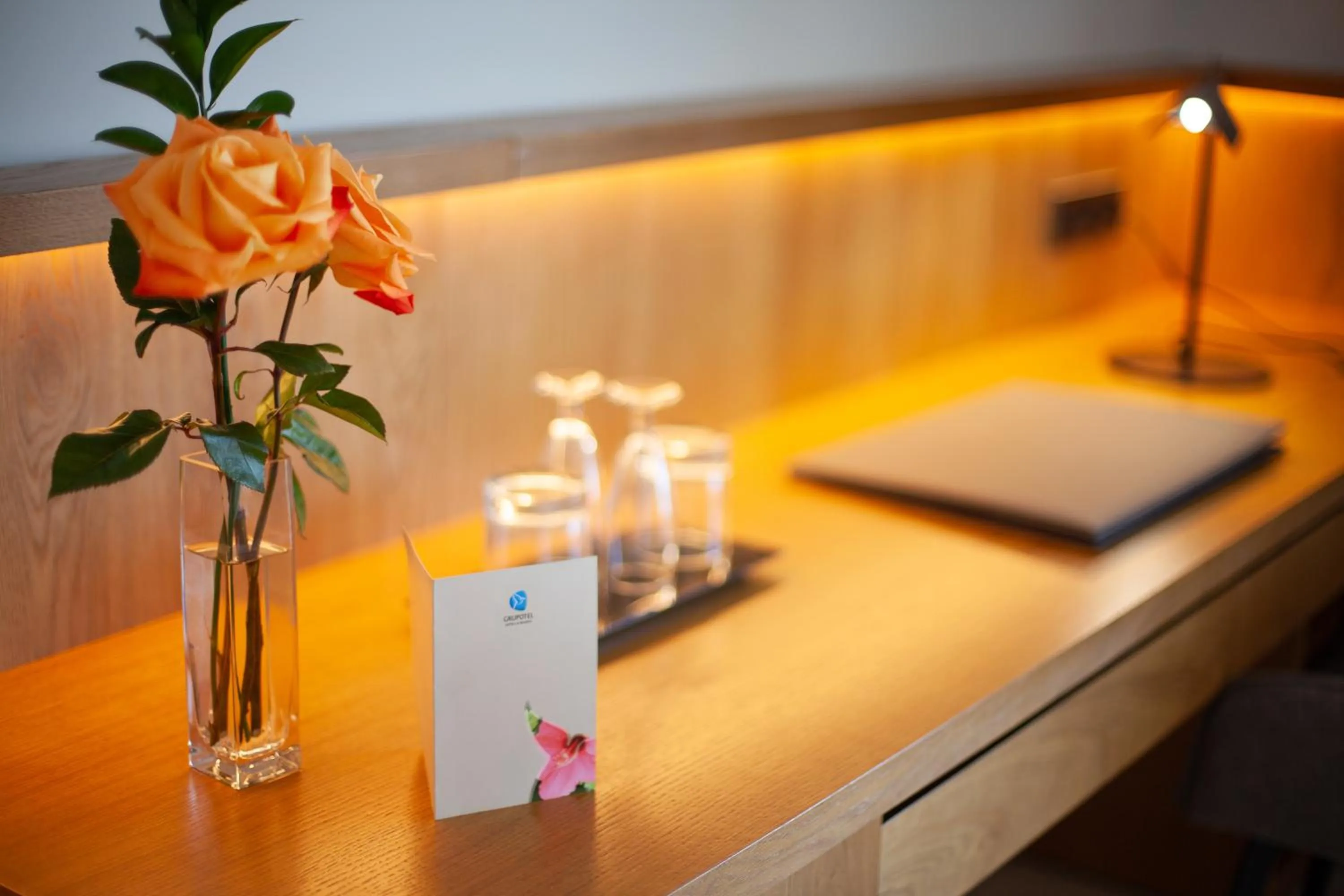 Area and facilities in Grupotel Playa de Palma Suites & Spa