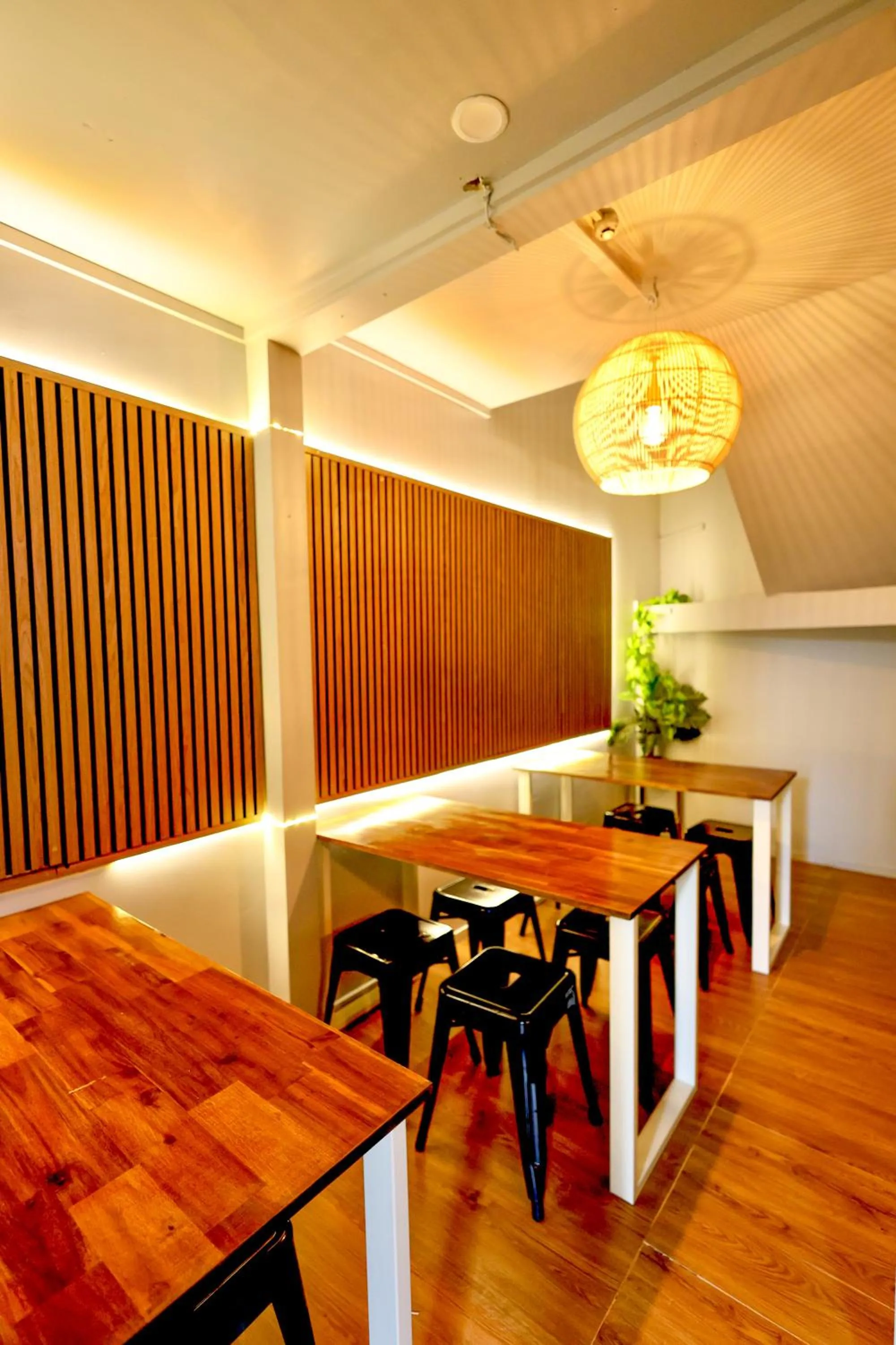 Rotorua Downtown Backpackers