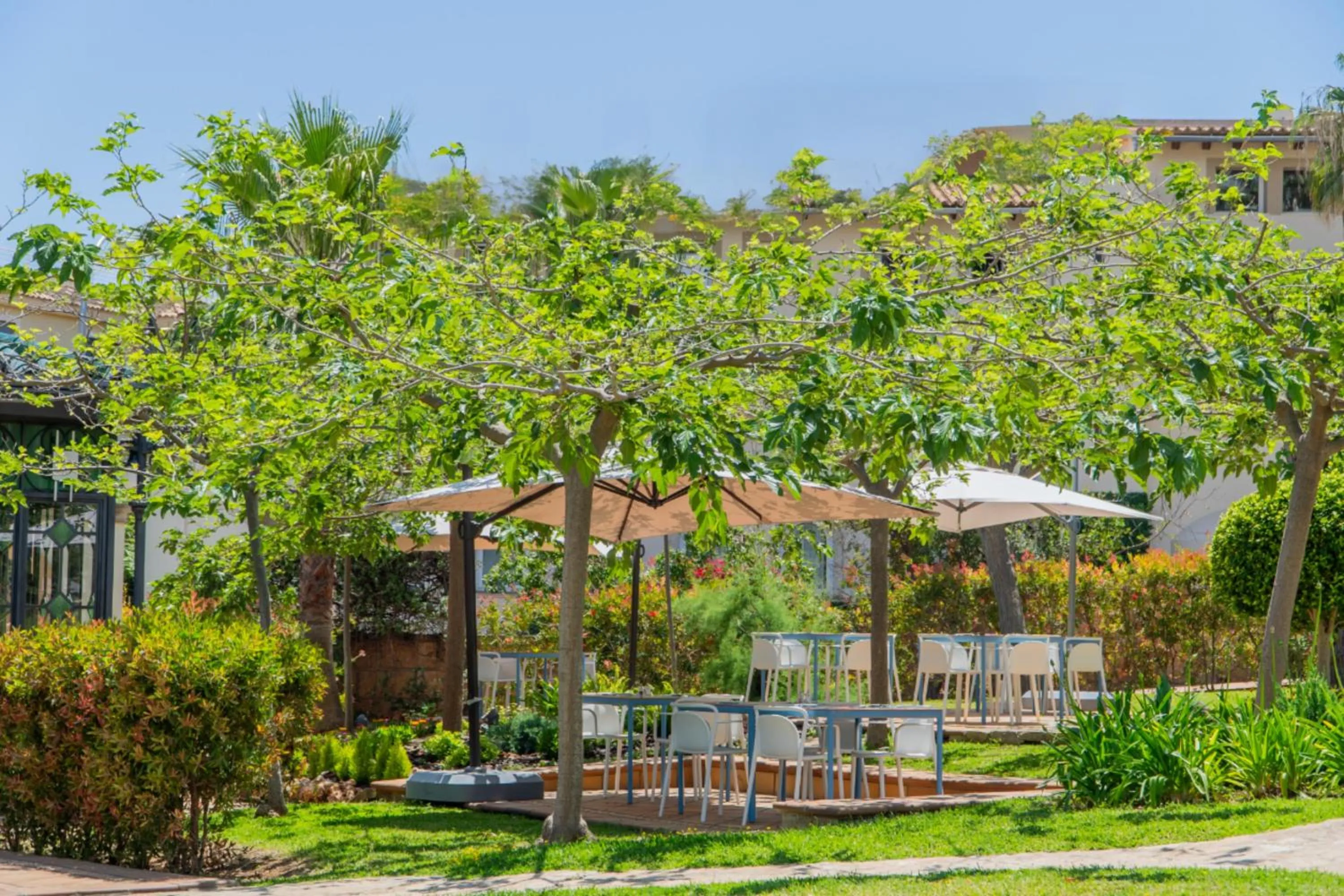 Restaurant/places to eat in GPRO Valparaiso Palace & Spa