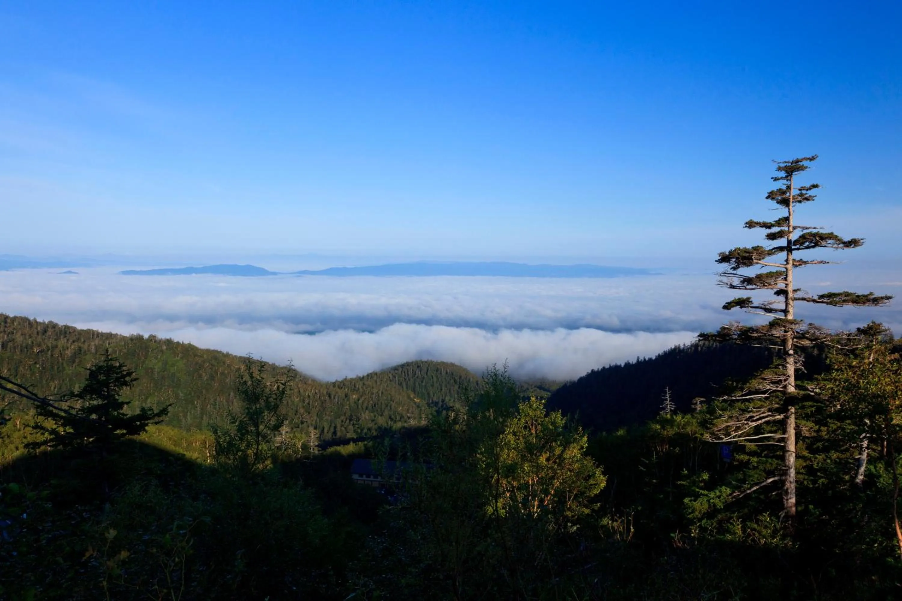 Area and facilities in Kamihoroso