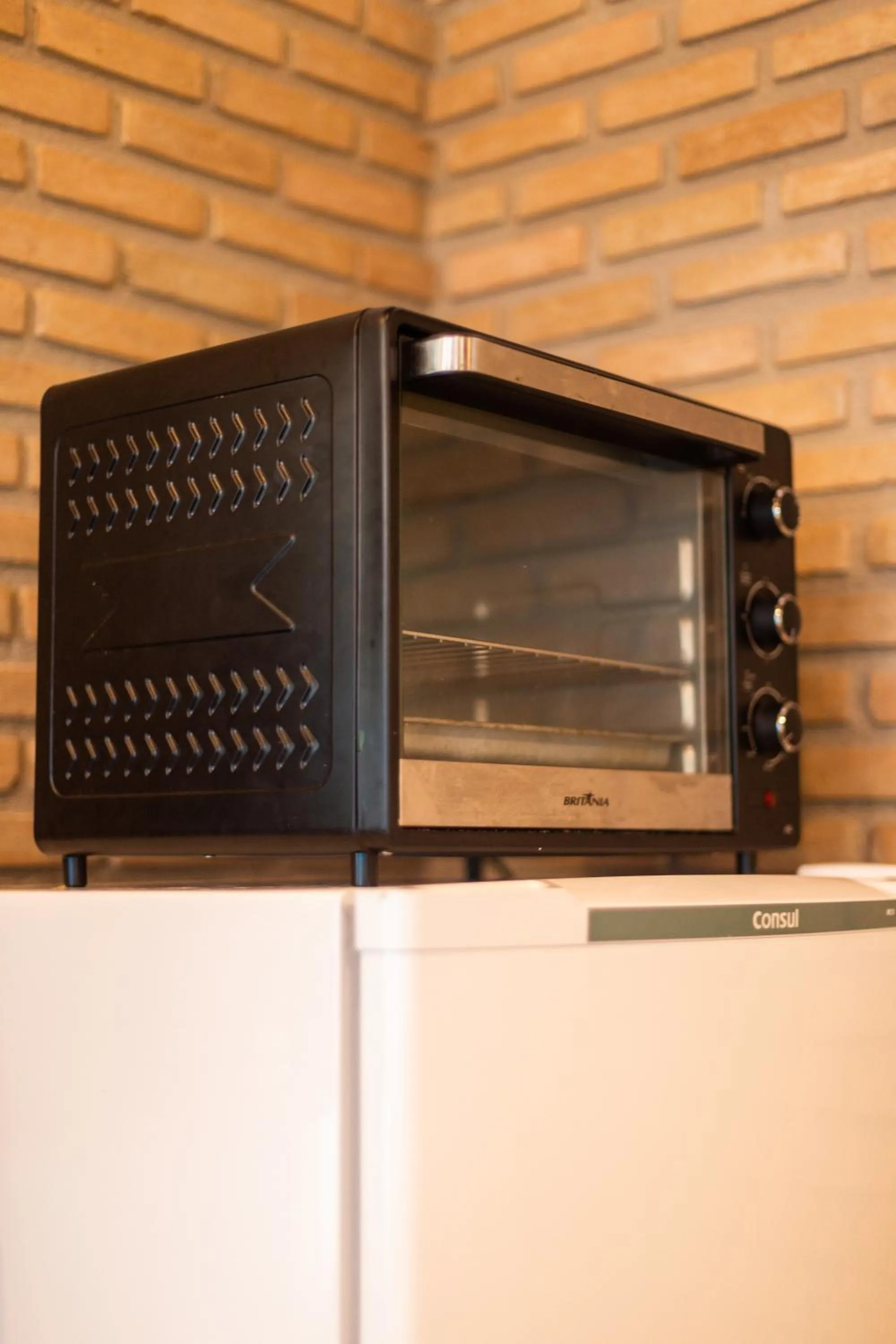 pet friendly in Vila Marina