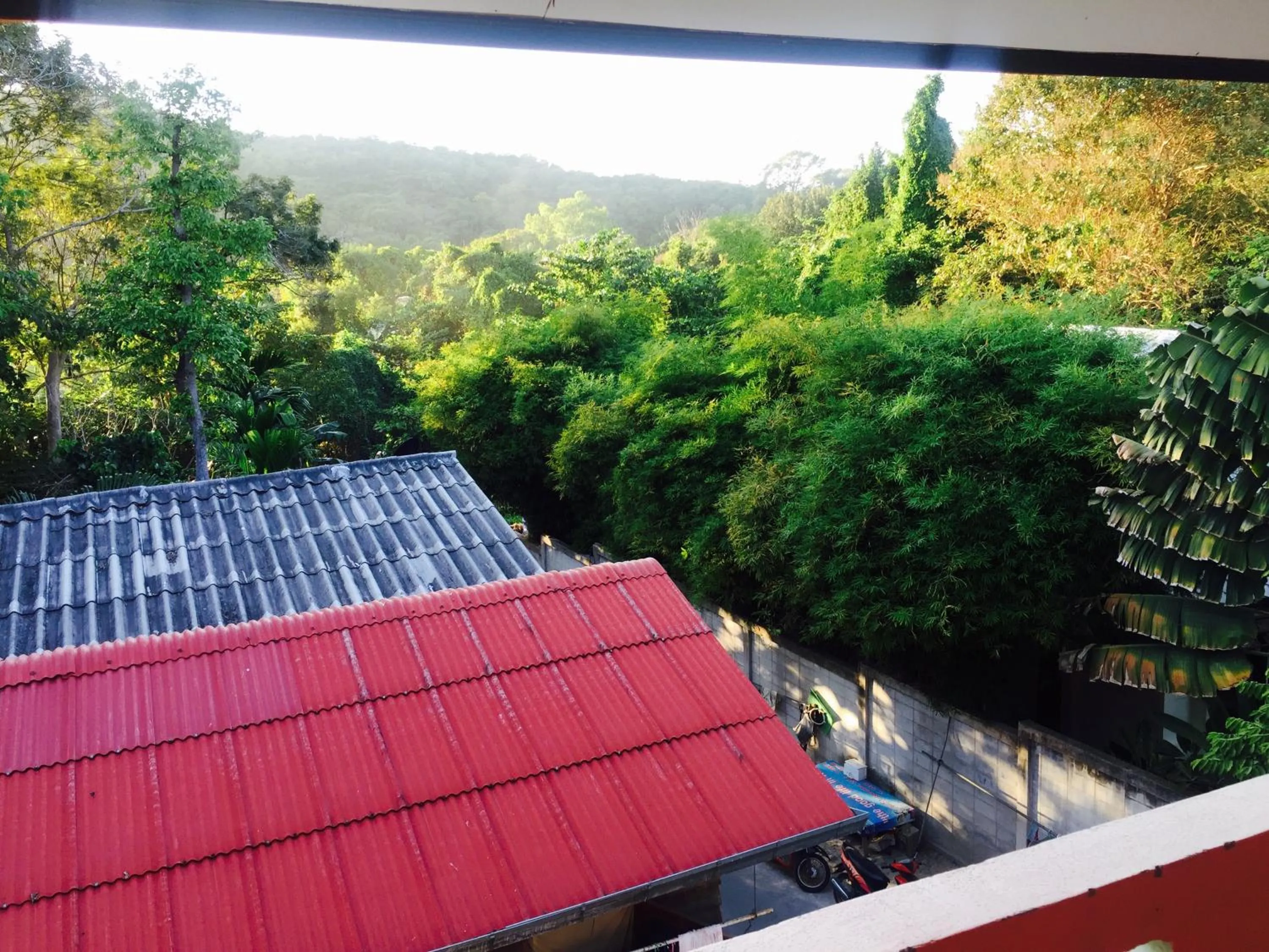 Day in Miss Tim House