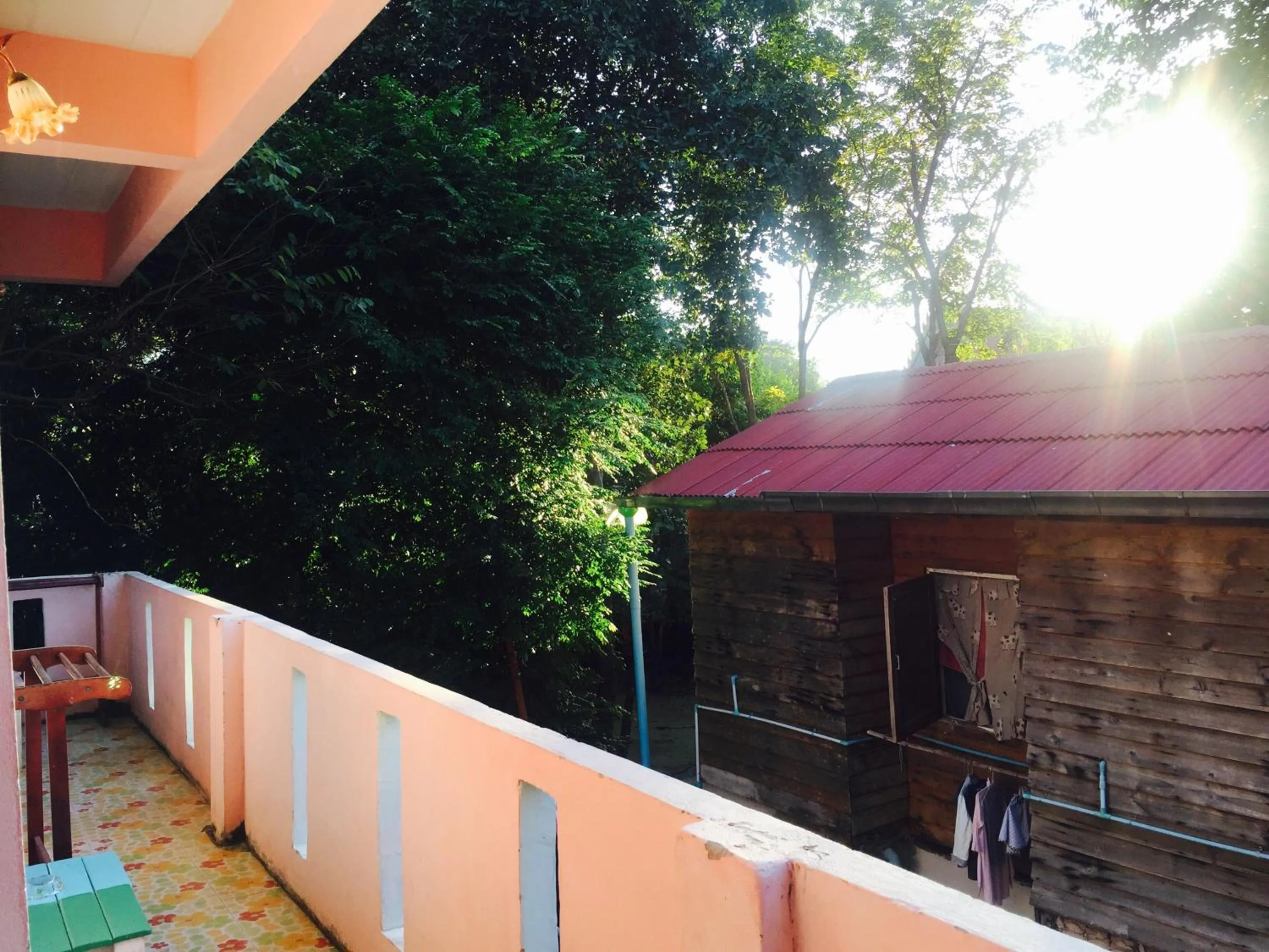 Day in Miss Tim House