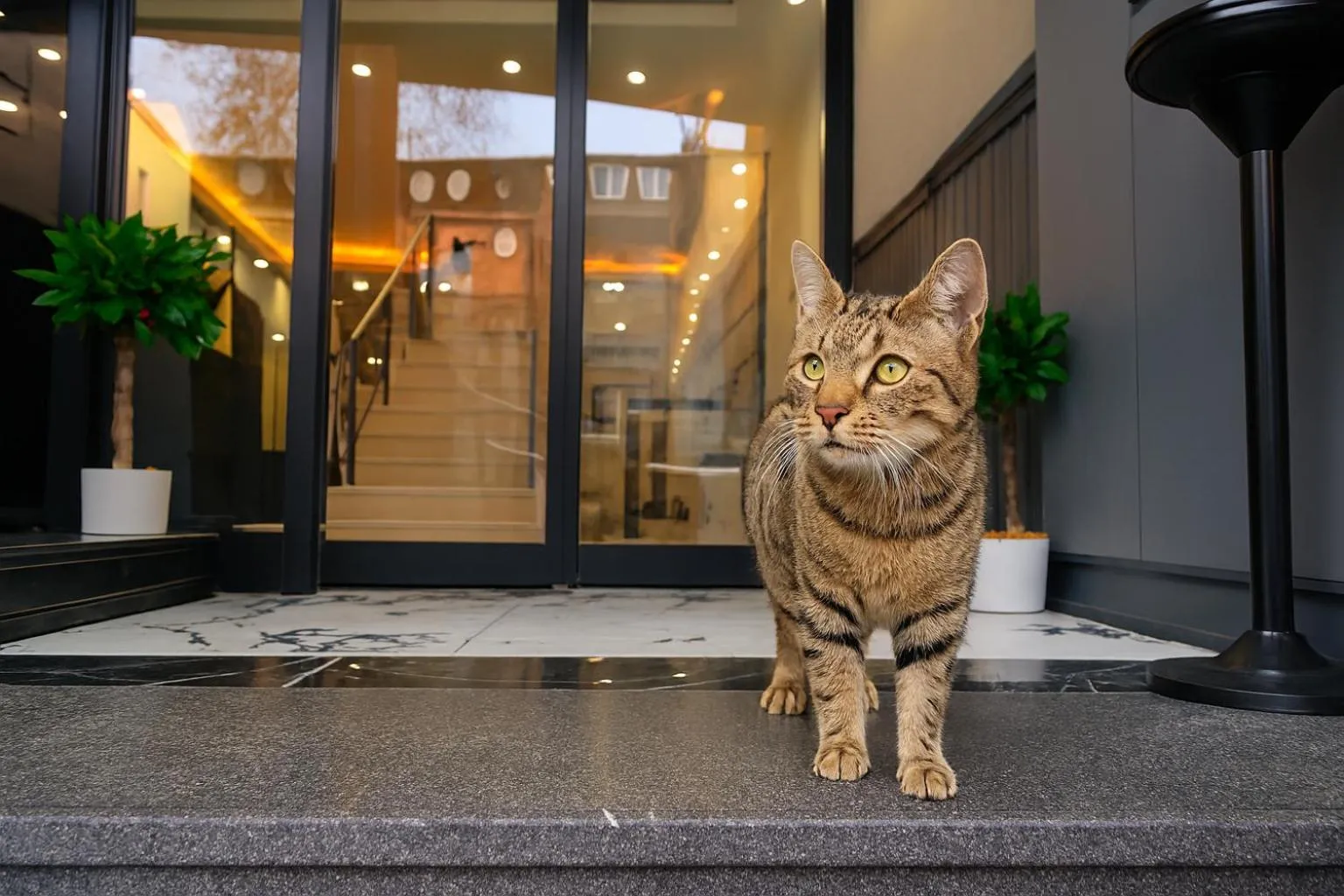 Facade/entrance in CALENBERG HOTEL