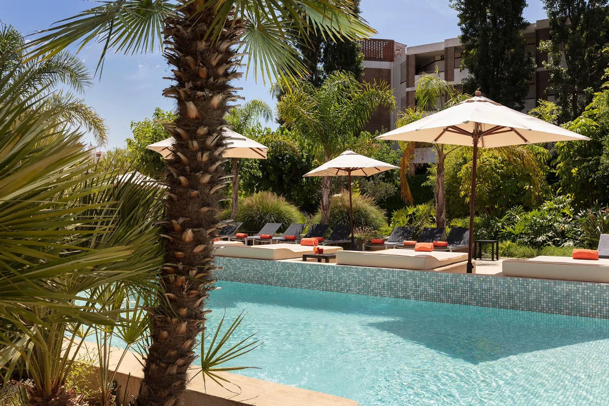 Swimming pool in Luna Club Hotel Yoga & Spa 4Sup