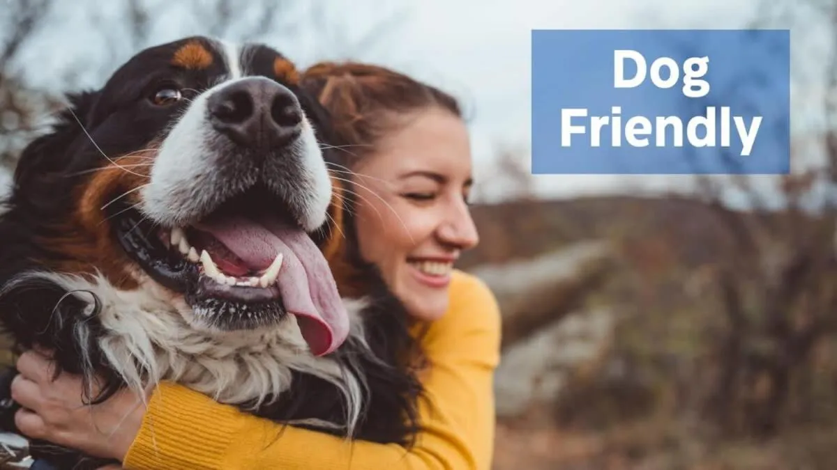 Text overlay in Modern decor, Hot Tub, Fire Pit & River Access!