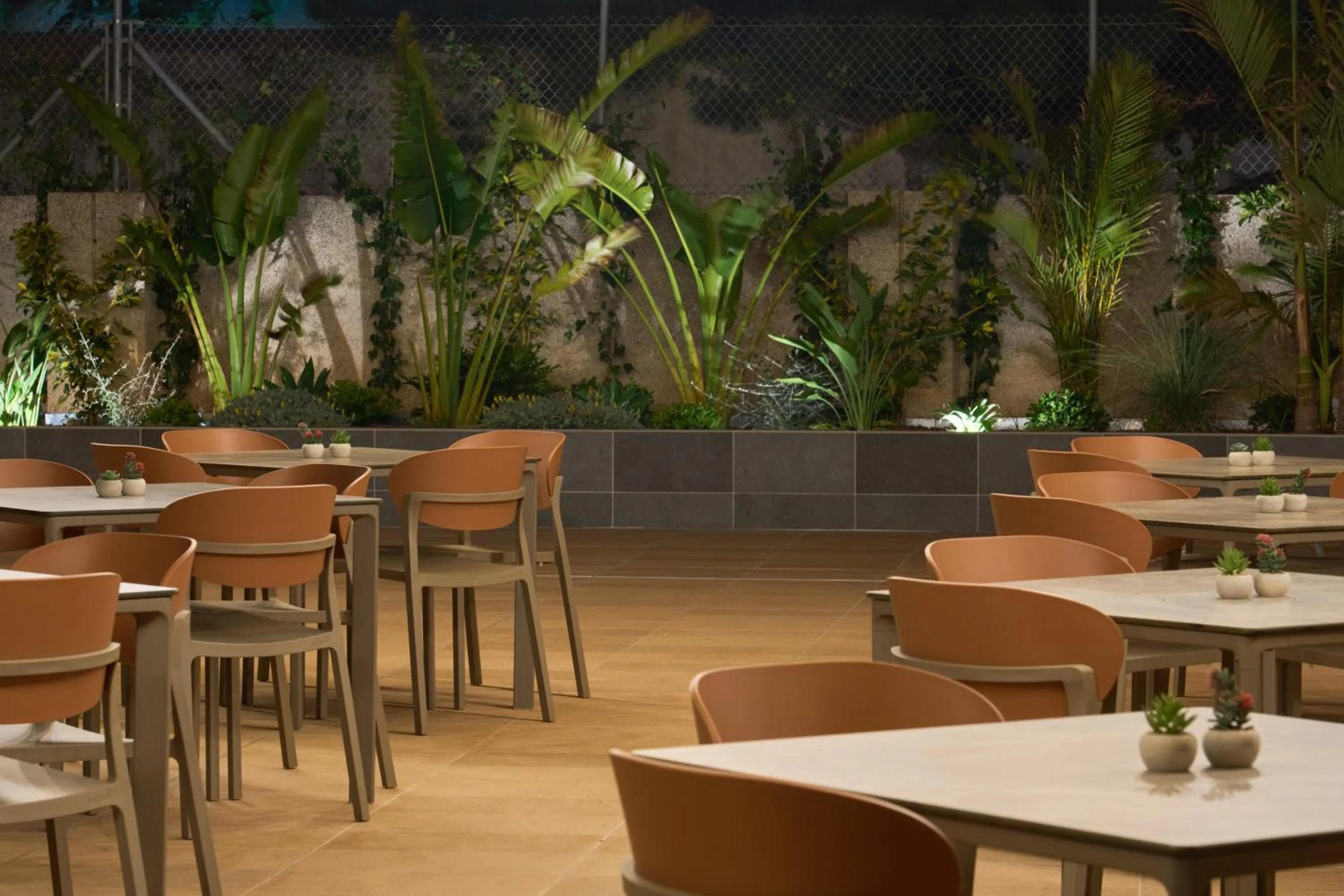 Balcony/Terrace in Hotel Macià Doñana