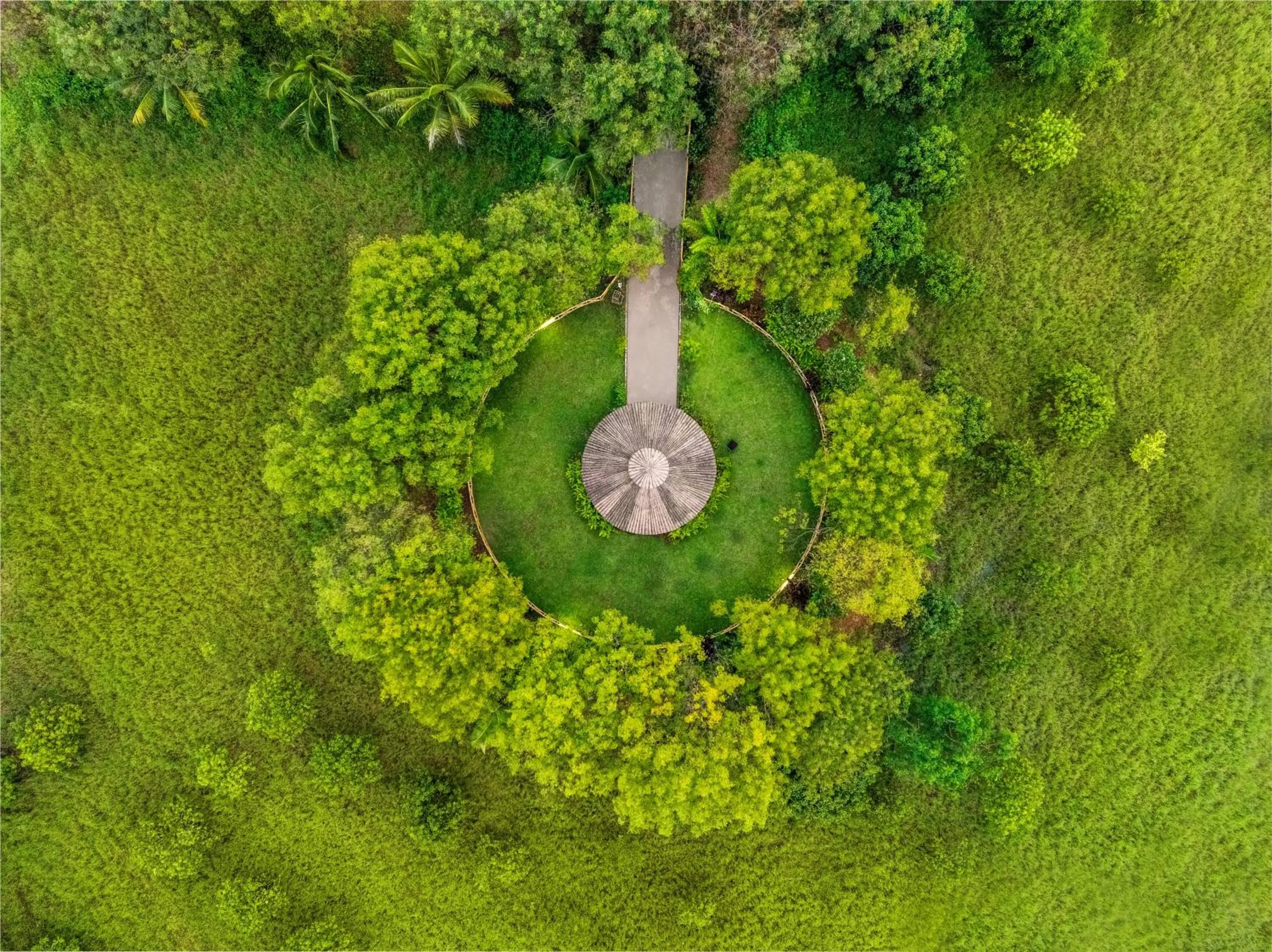 Garden in Sterling Banashree Badami