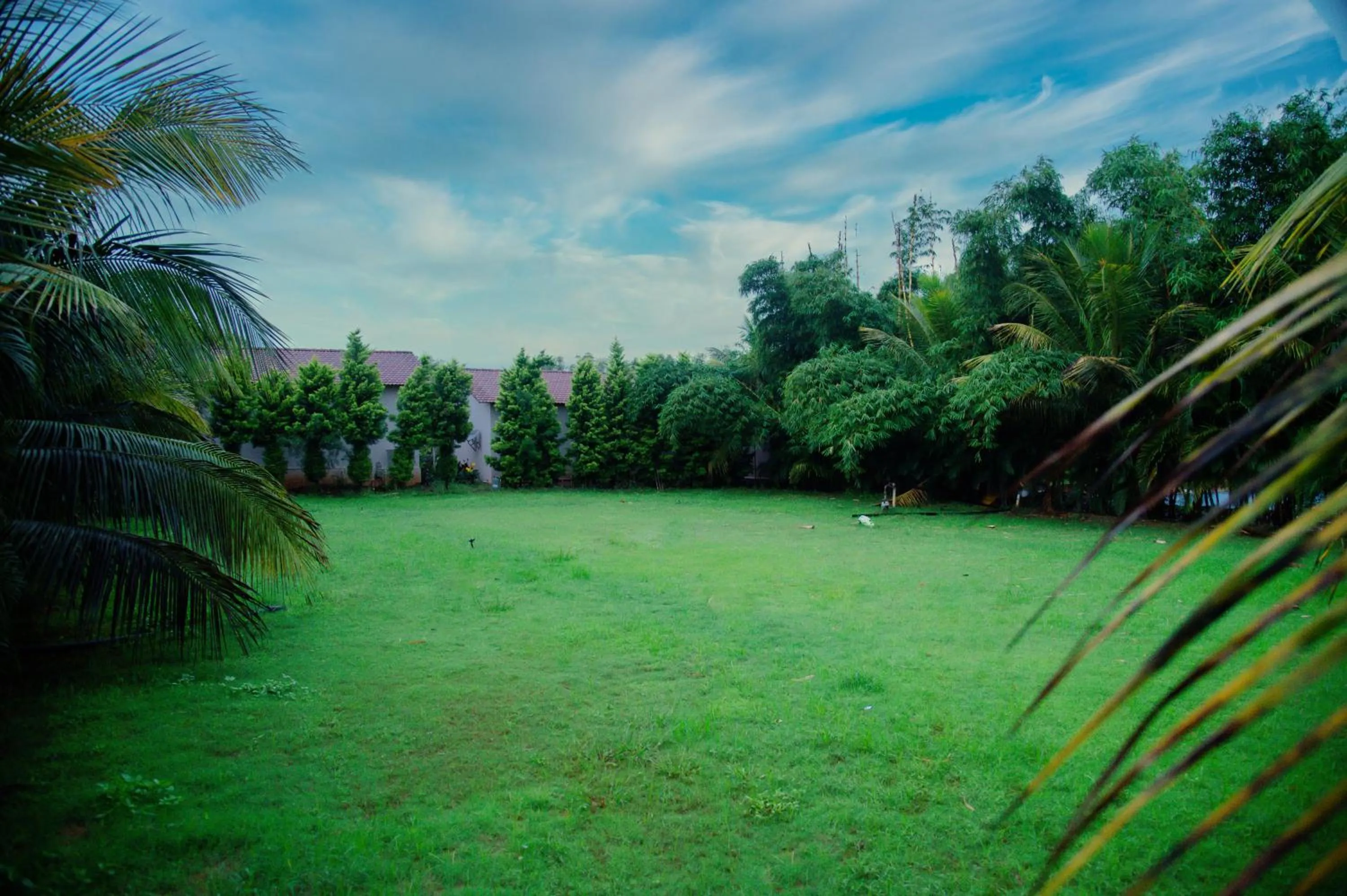 Day in Sterling Banashree Badami