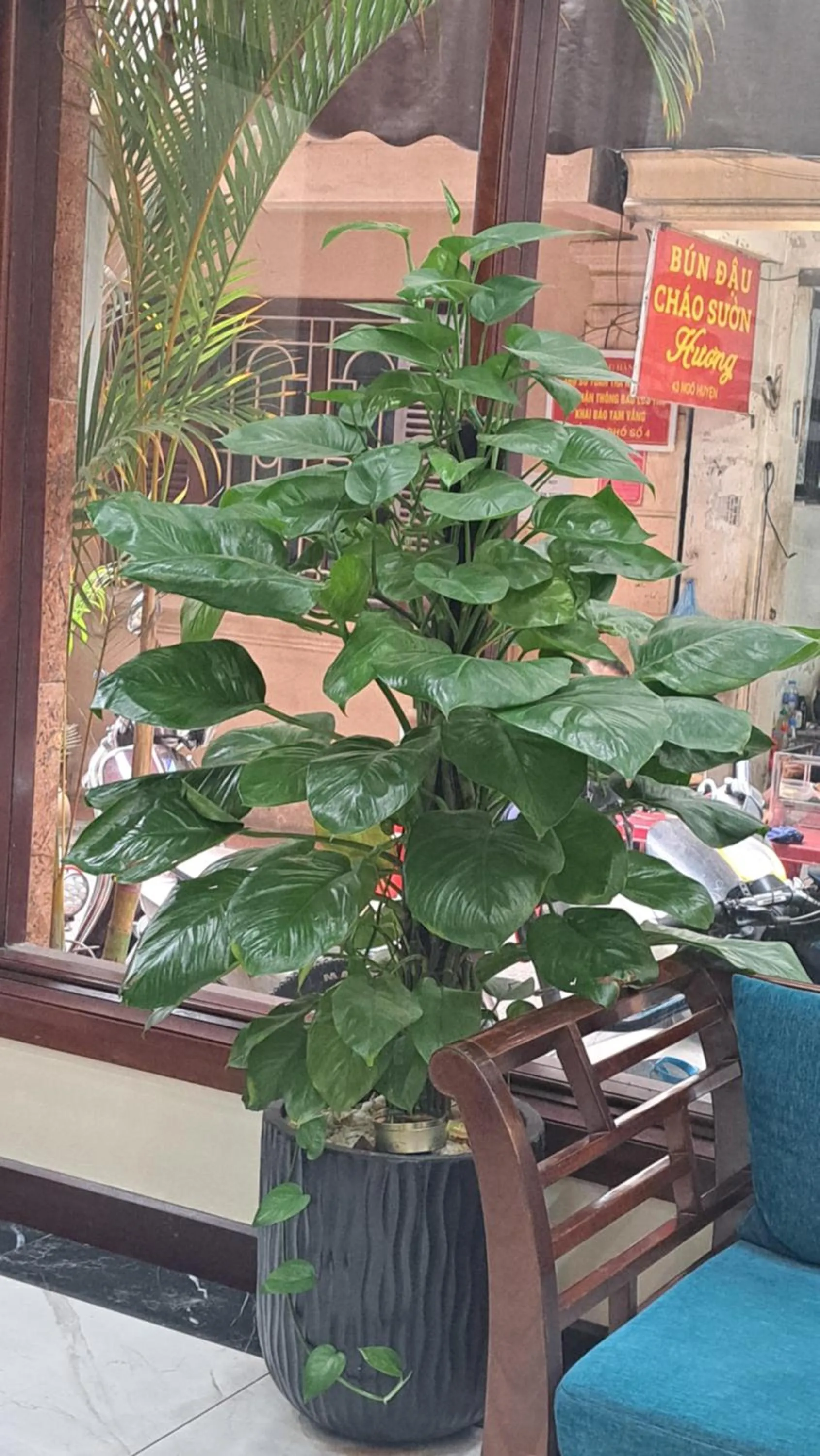 Day in Hanvet Boutique Hotel