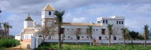 Garden in Hacienda Los Jinetes