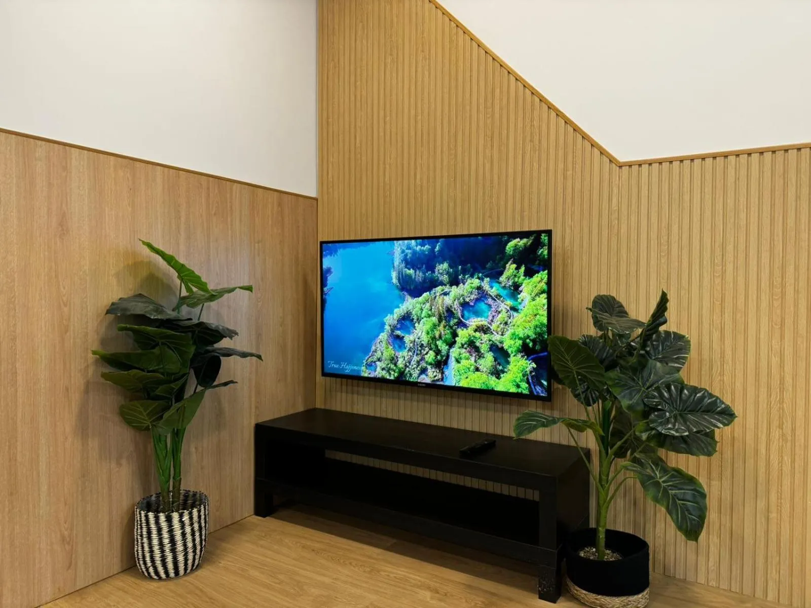 TV and multimedia in Carbonell 1