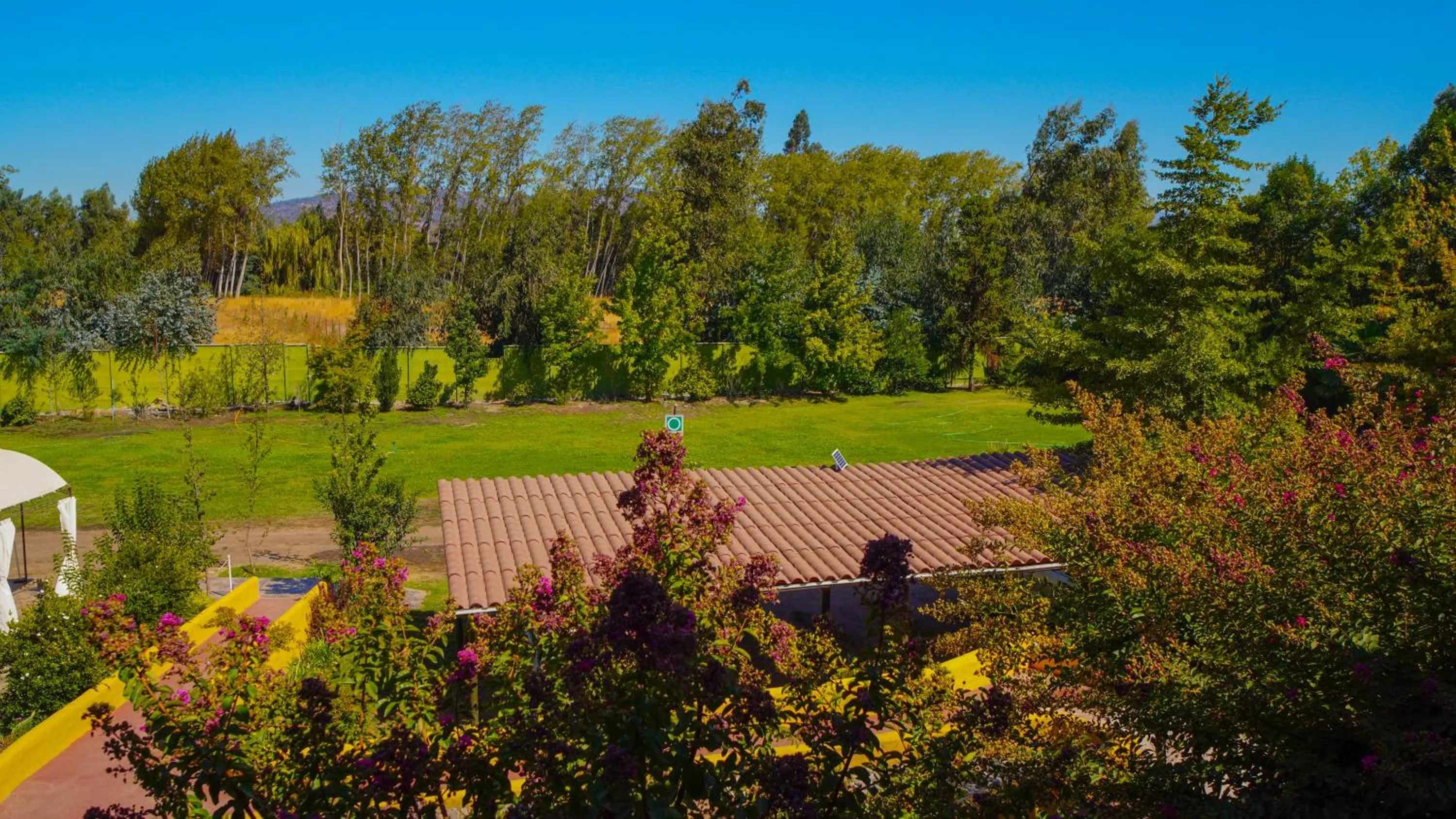 Garden view in Hotel Ontiveros