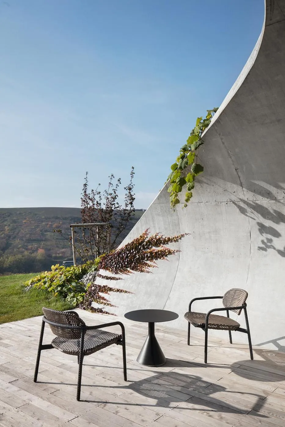 Patio in Gurdau vinařství