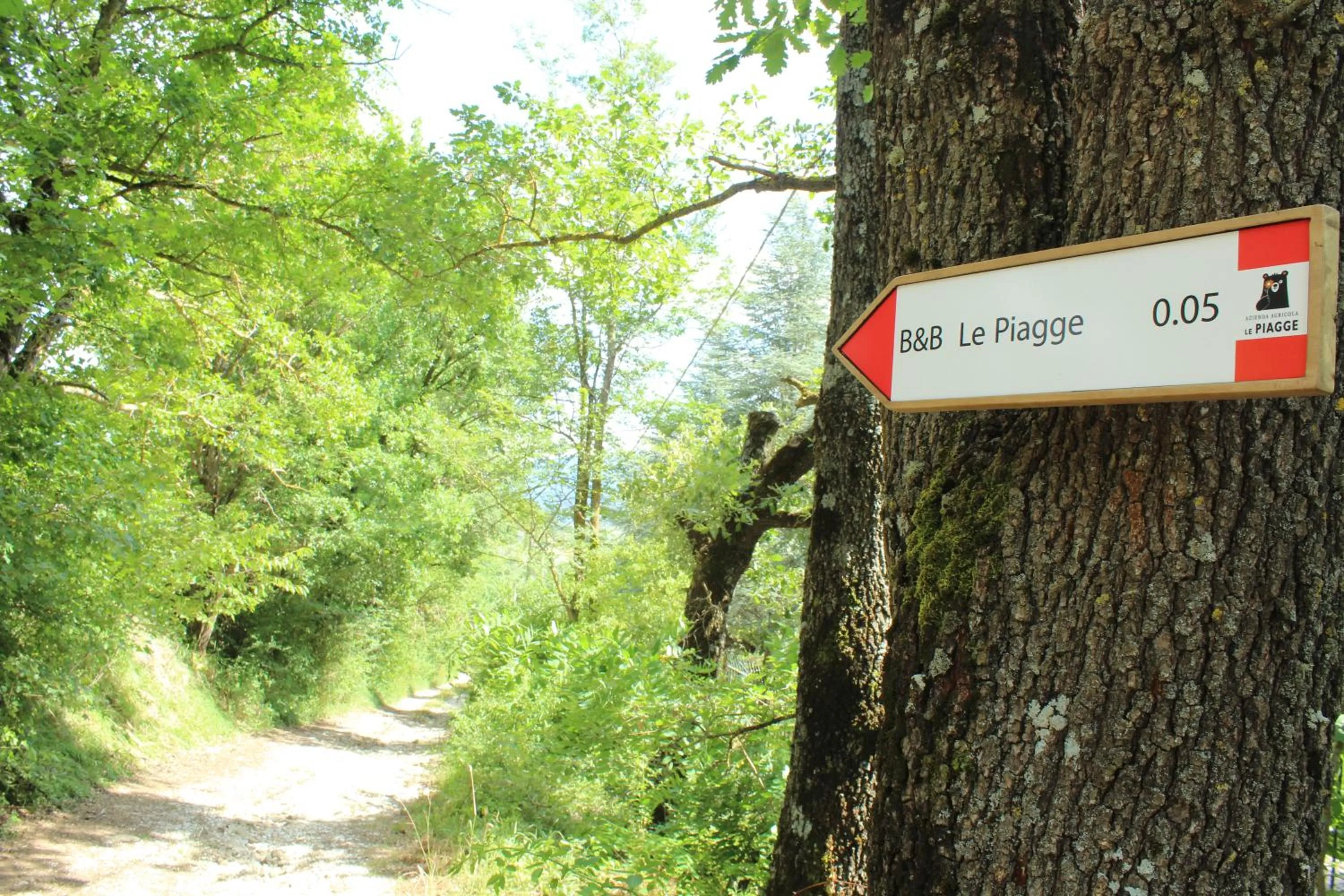 Bed & Breakfast Le Piagge