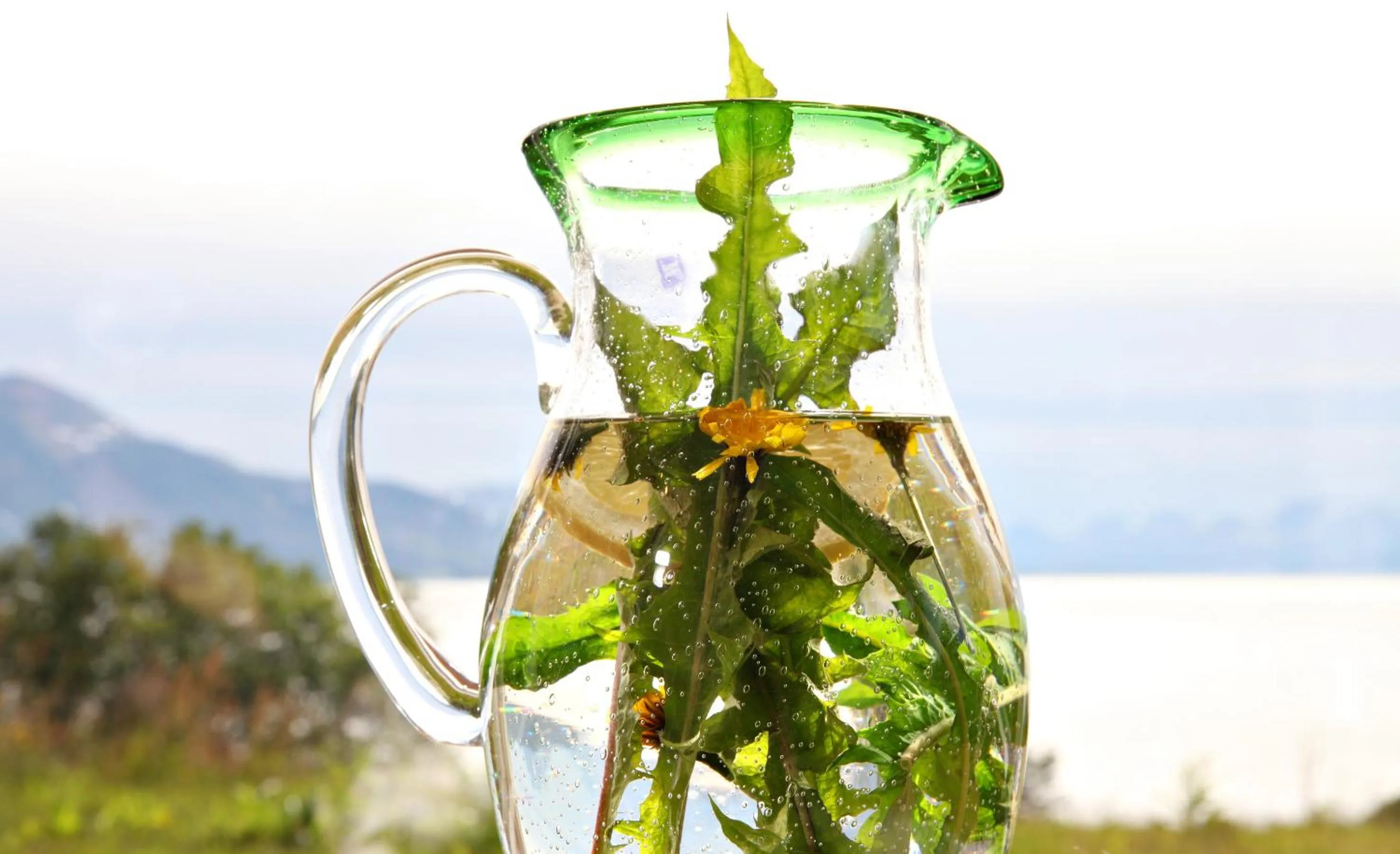 Food and drinks in Yggdrasil Farmhotel Retreat, Spa & Yoga