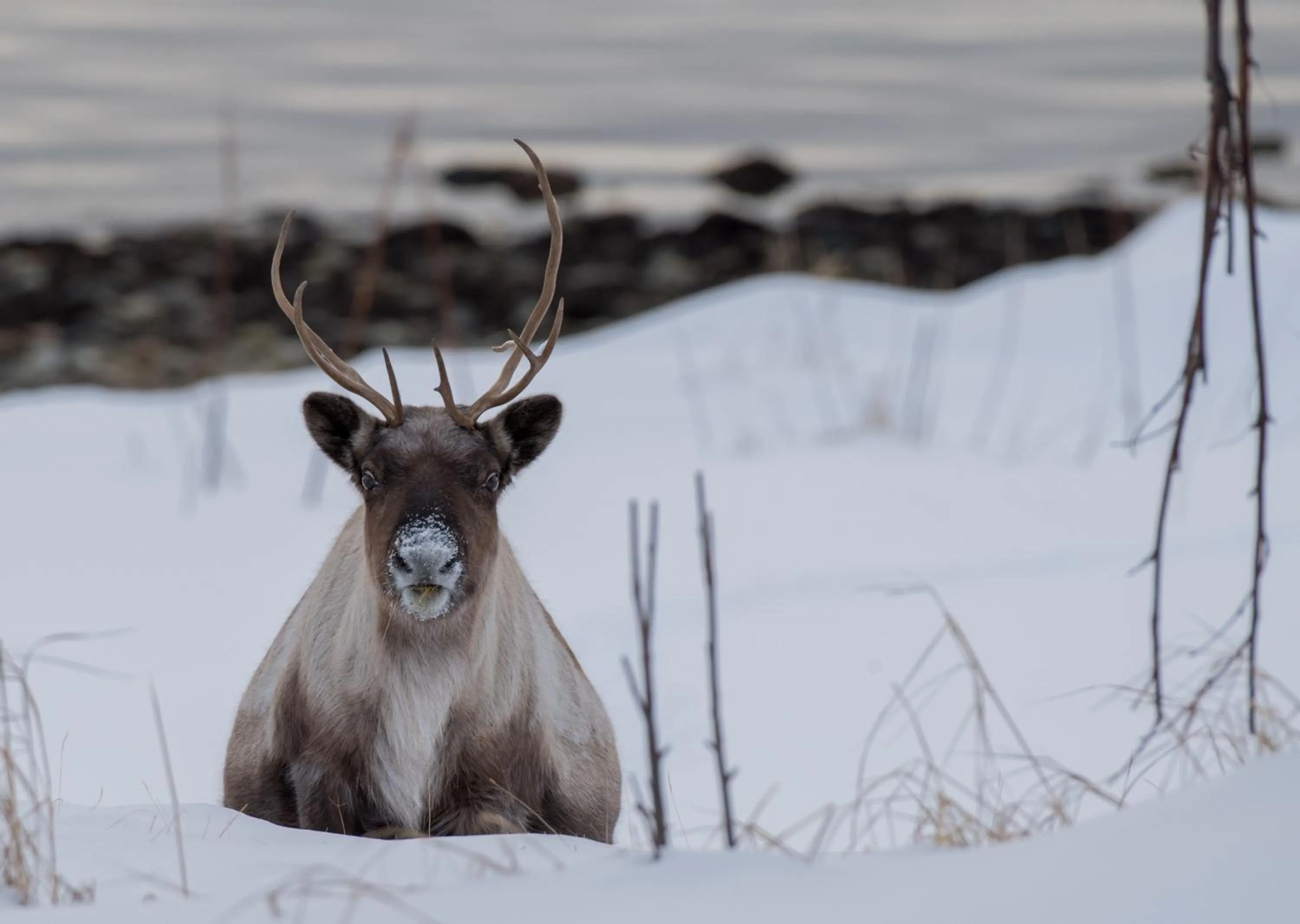 Off site in Yggdrasil Farmhotel Retreat, Spa & Yoga