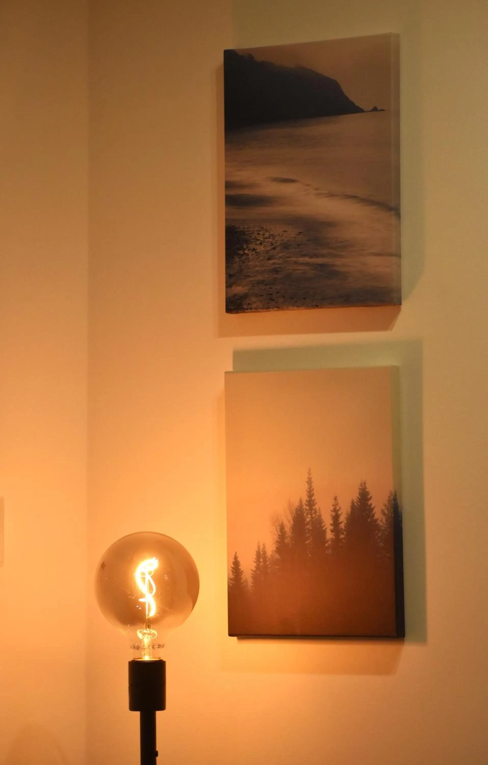 HABITAT- Apartments&Rooms