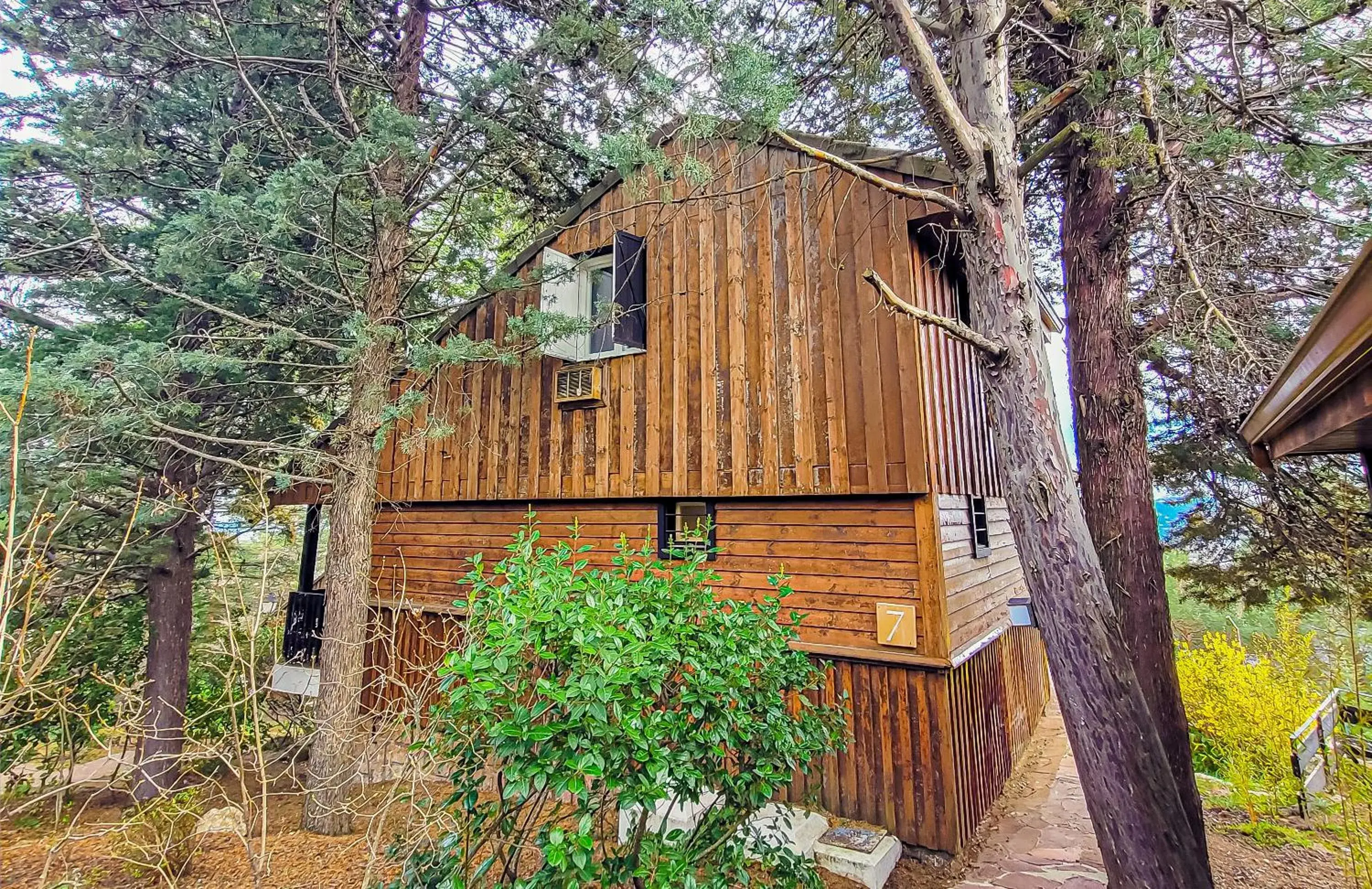 Bungalow with Garden View in Hotel Hita "Nature Experience" for all Bungalow with Garden View in Hotel Hita "Nature Experience" for all