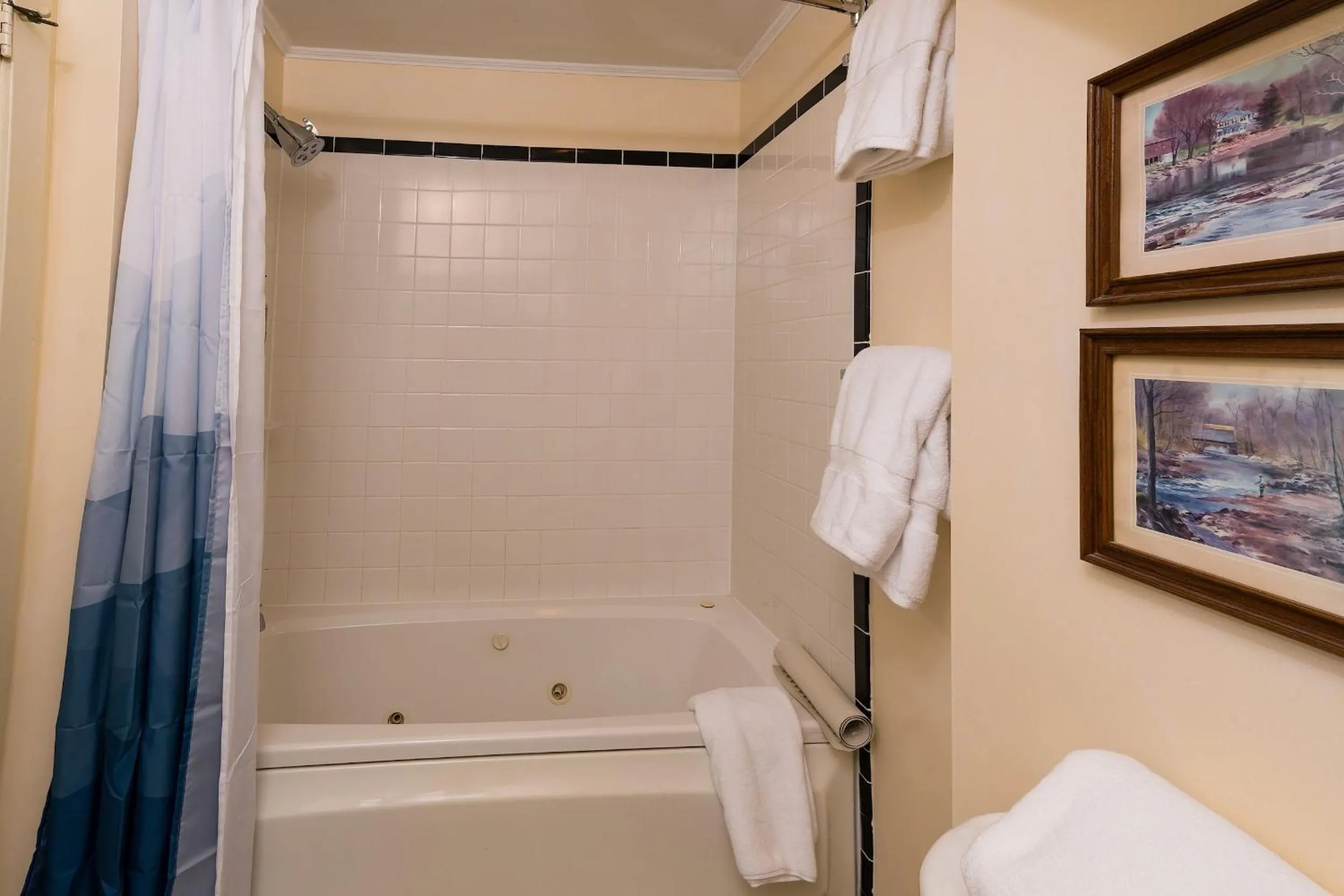 Shower in Brass Lantern Inn