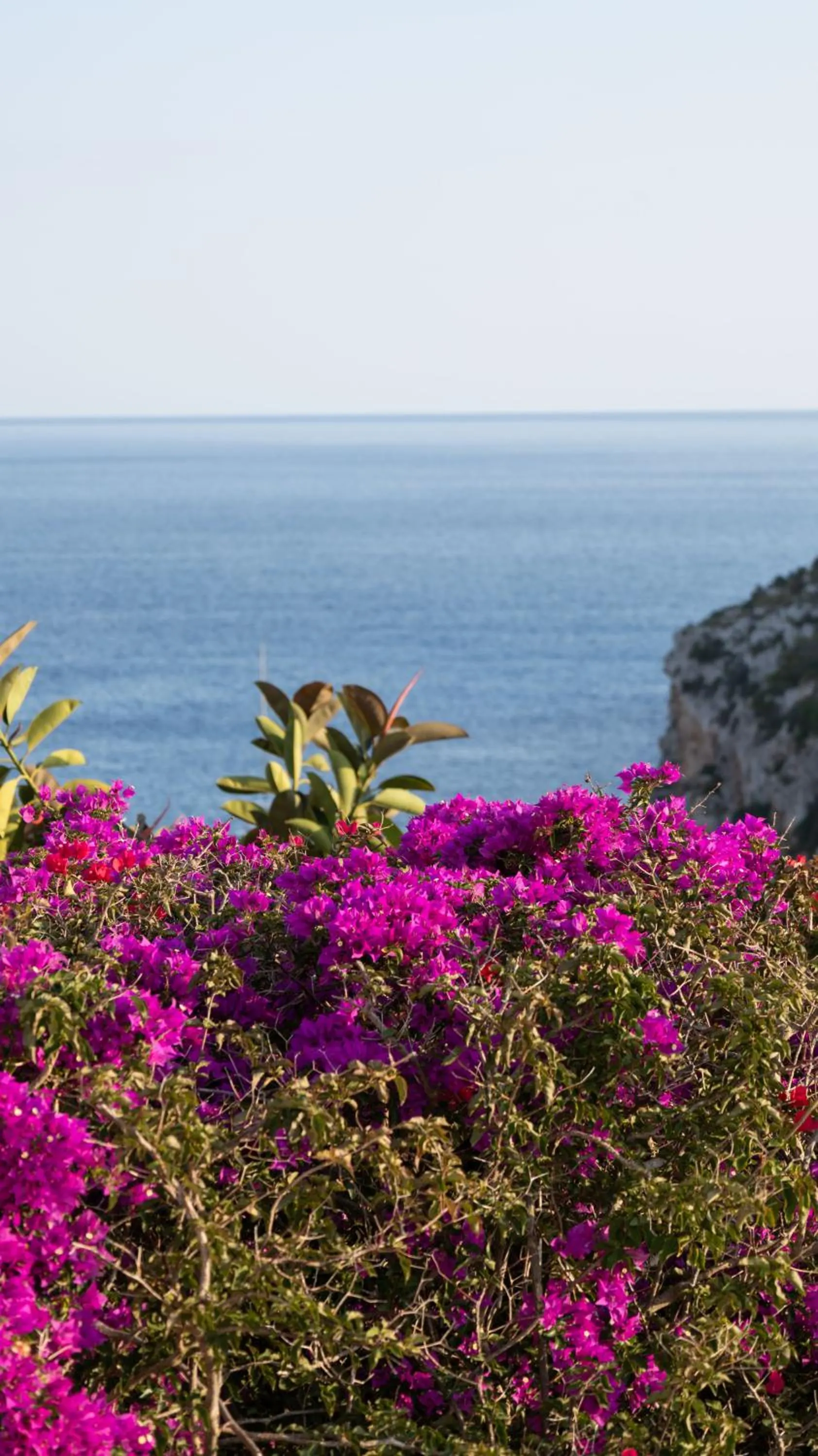 Sea view in Seth Playa Azul