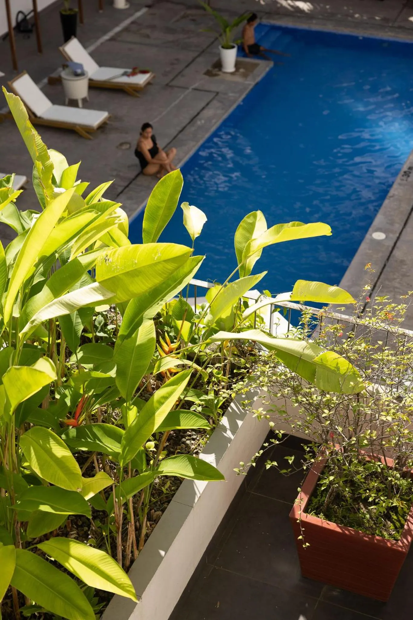Swimming pool in Tucan Suites Tarapoto - Hotel Asociado Casa Andina