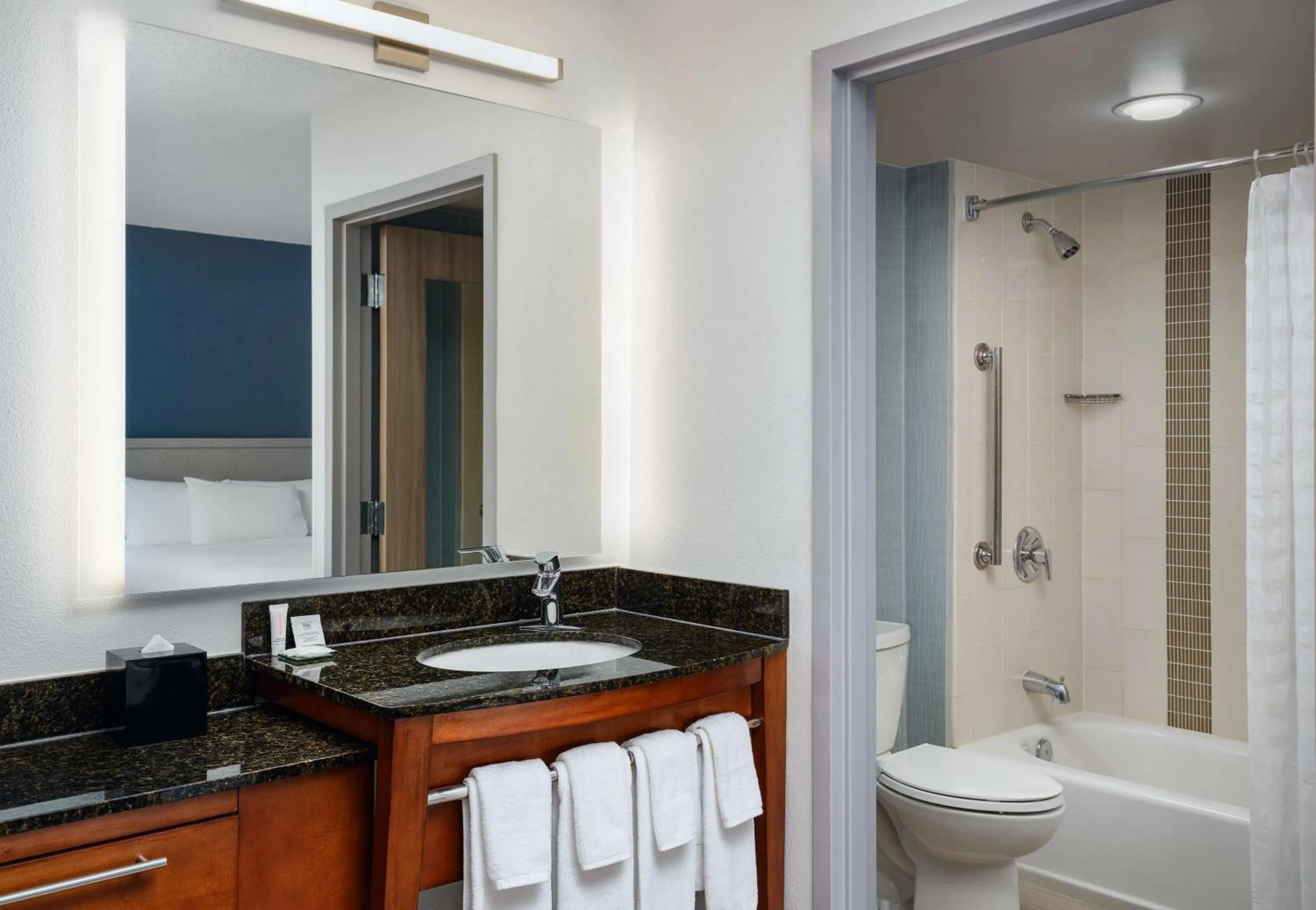 Bathroom in Hyatt Place Tampa Busch Gardens