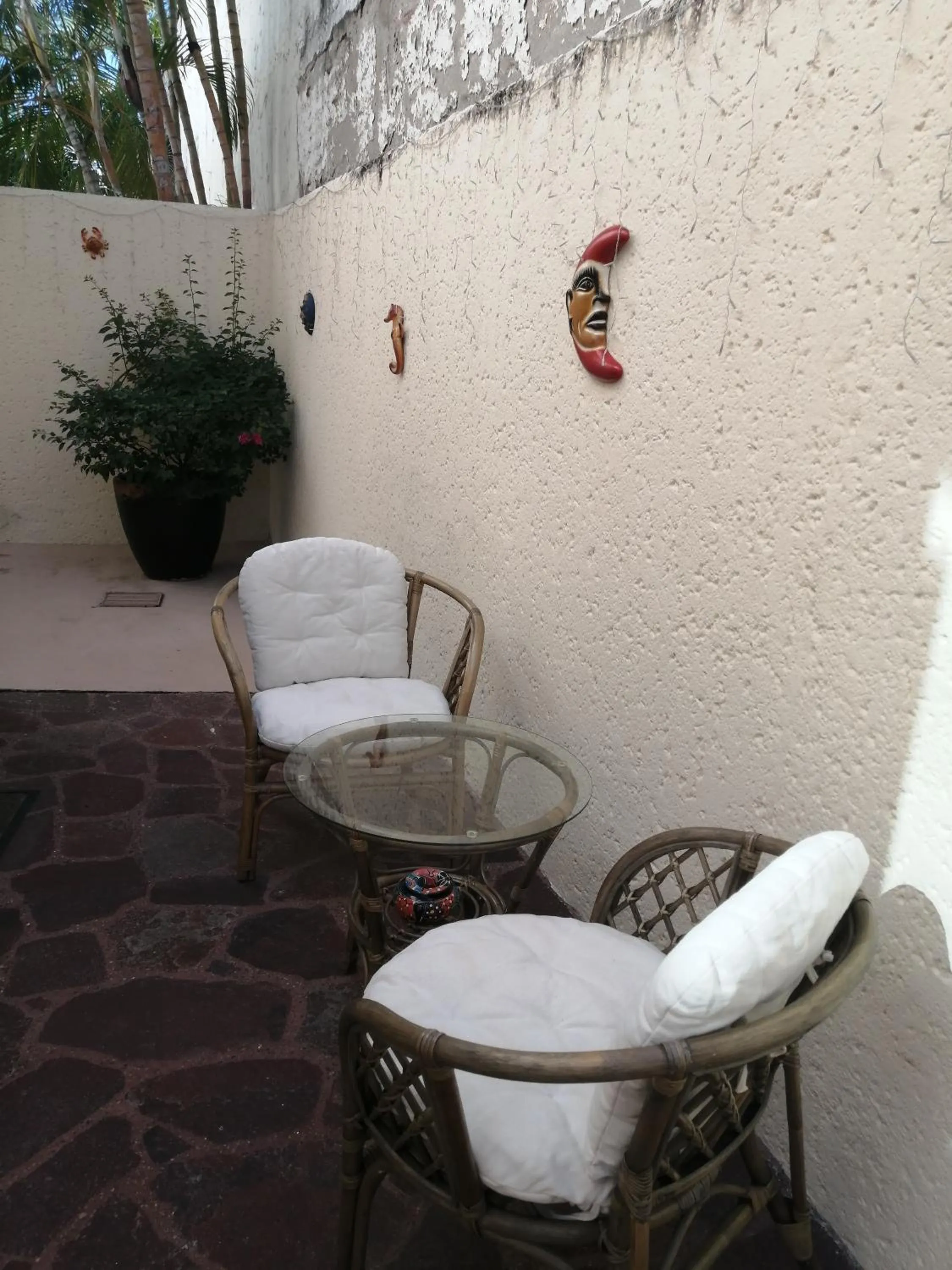 Patio in Casa Dahlia 2