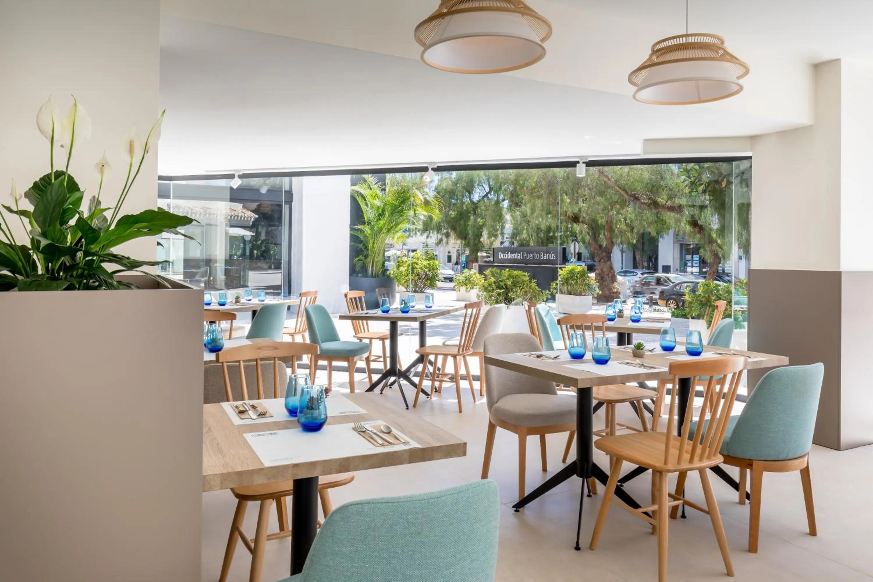 Restaurant/places to eat in Occidental Puerto Banús