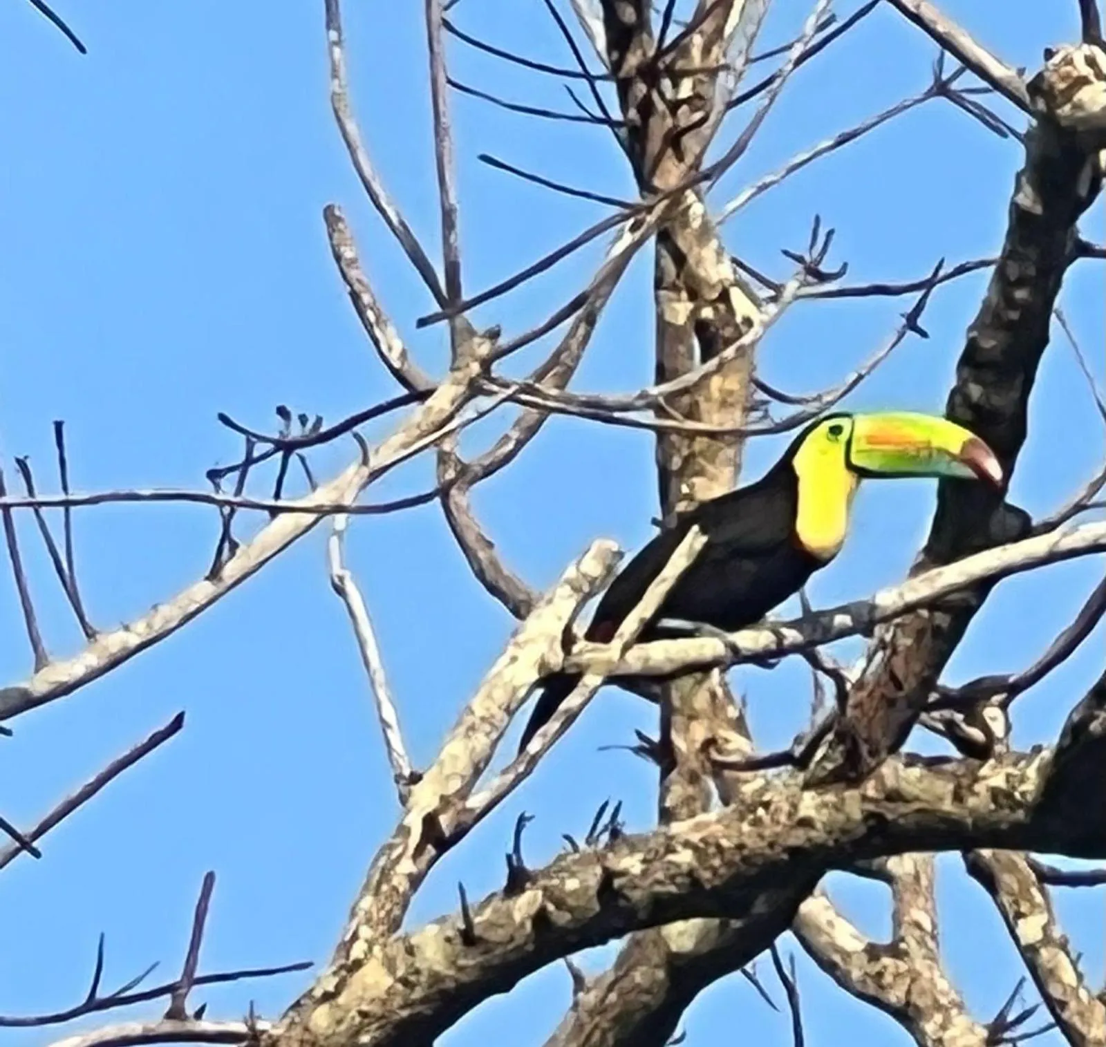 Animals in Tawaca Ecohotel