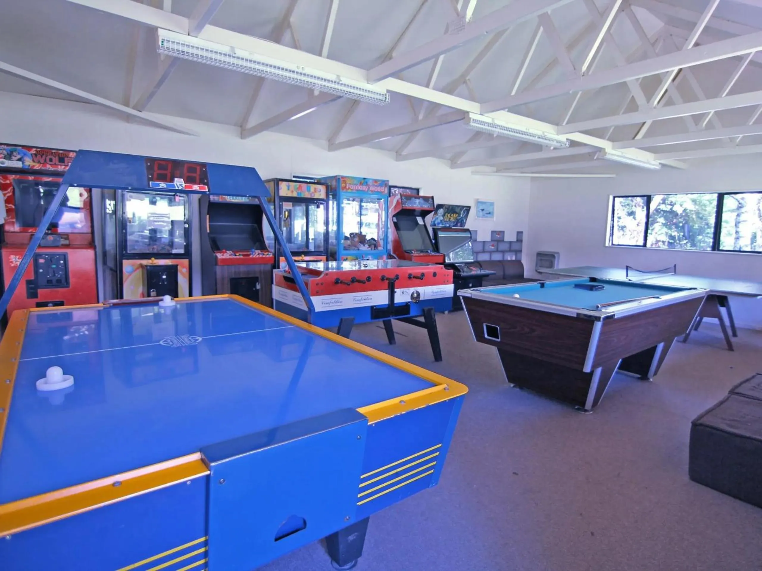Billiard in Alpine Adventure Holiday Park