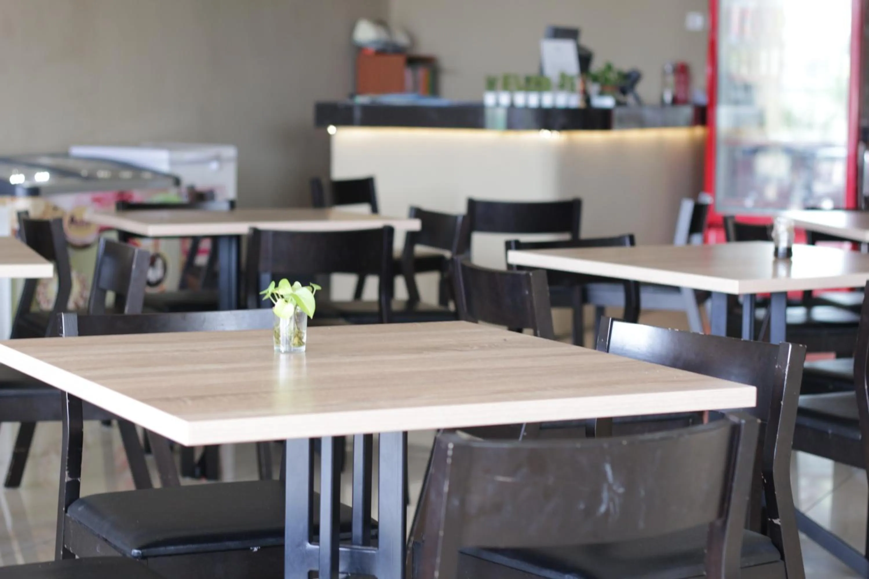 Restaurant/places to eat in Paradise Spa Hotel