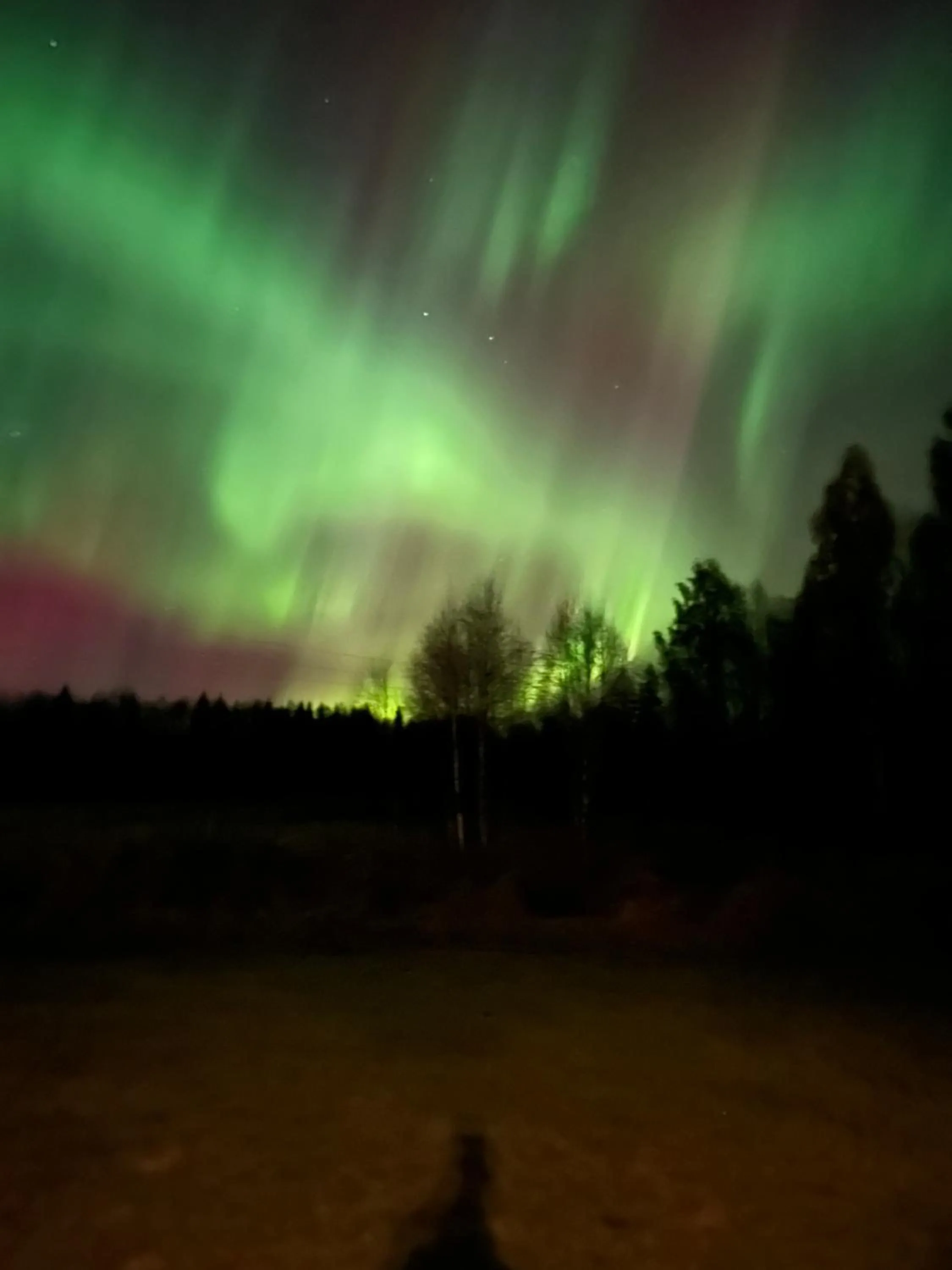 Villa Nightsky -private location, sauna and jacuzzi