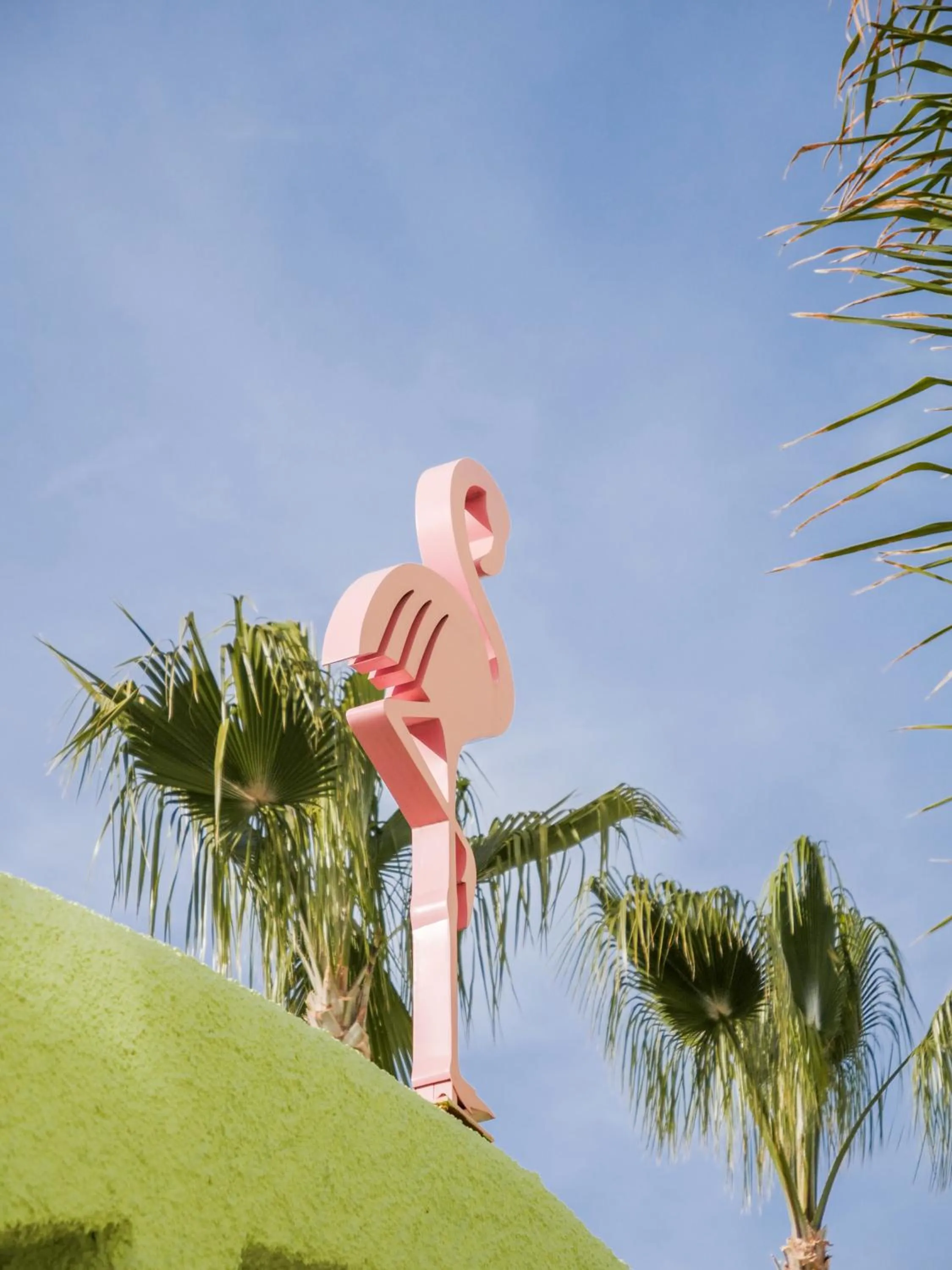 Decorative detail in Tropicana Ibiza Suites - Adults Only