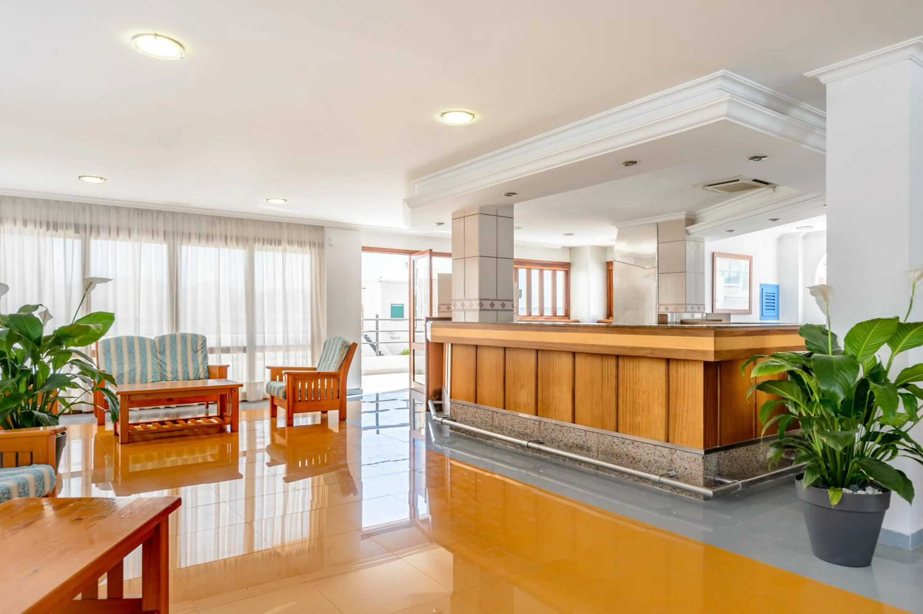 Lobby or reception, Lobby/Reception in Don Pepe