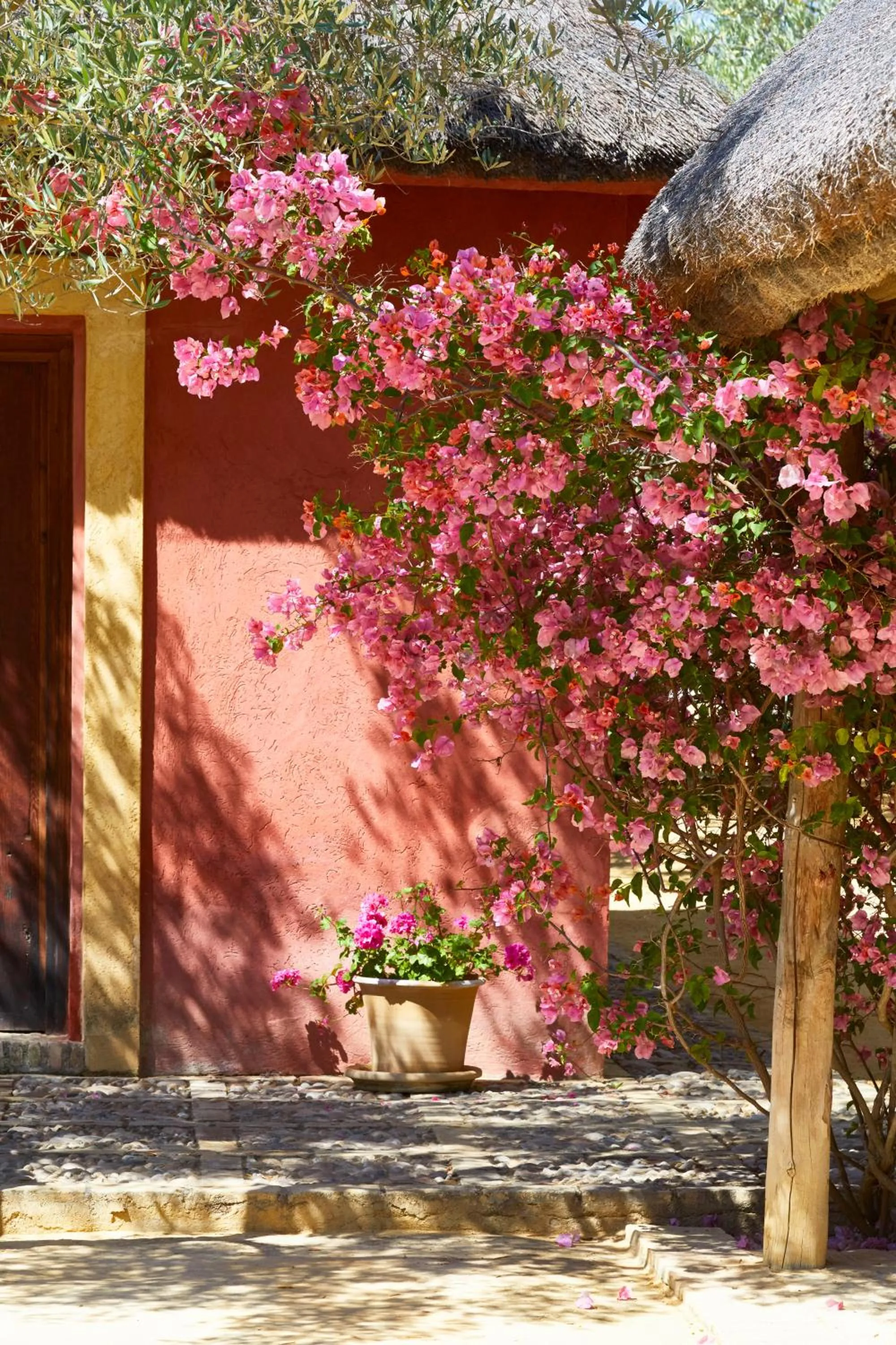 Garden view in Hacienda de San Rafael