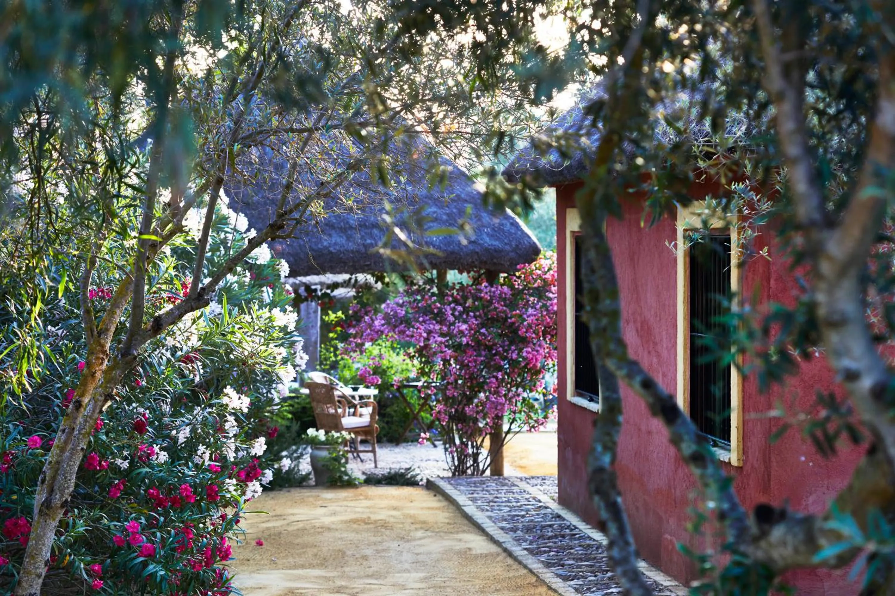 Garden view in Hacienda de San Rafael