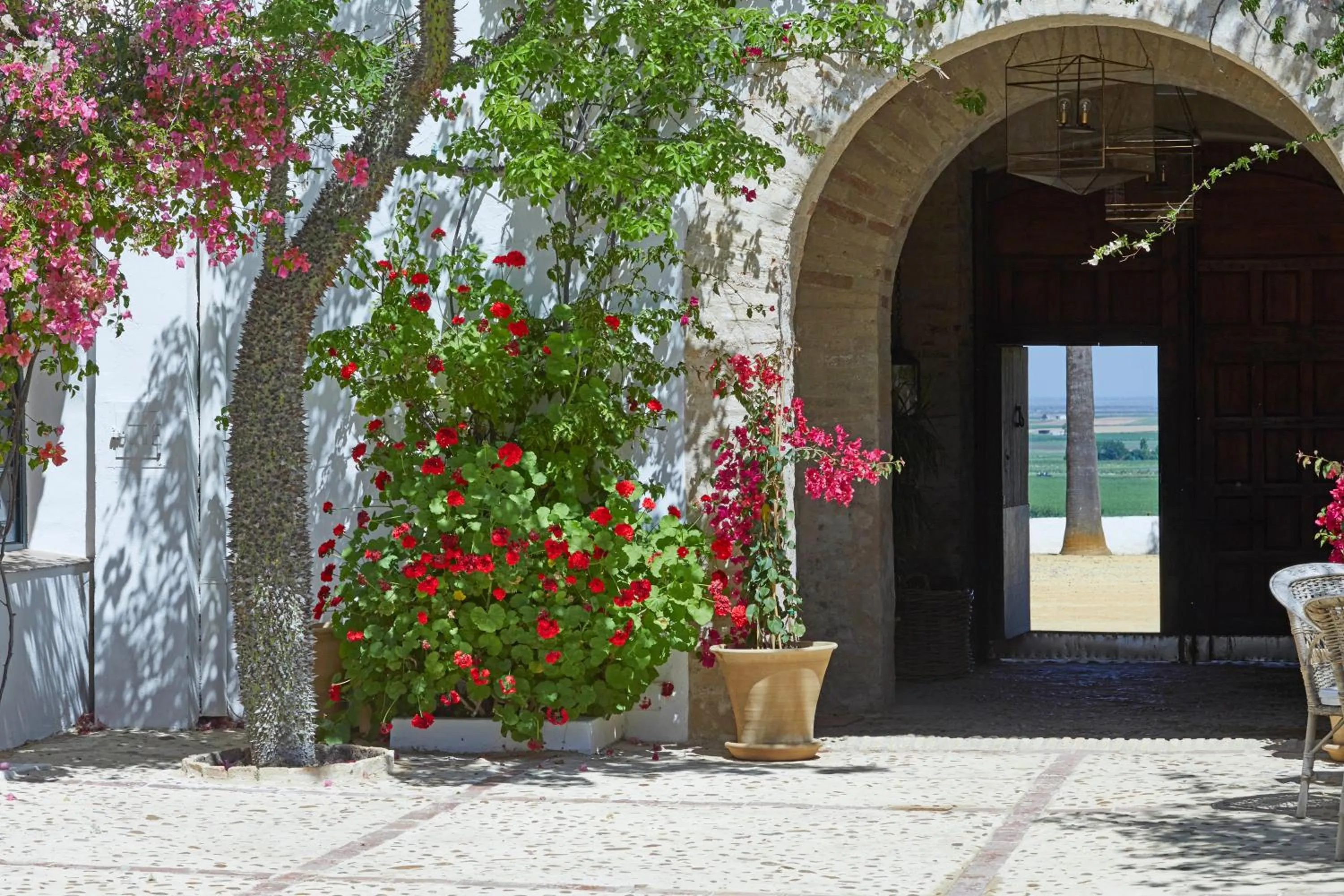 View (from property/room) in Hacienda de San Rafael