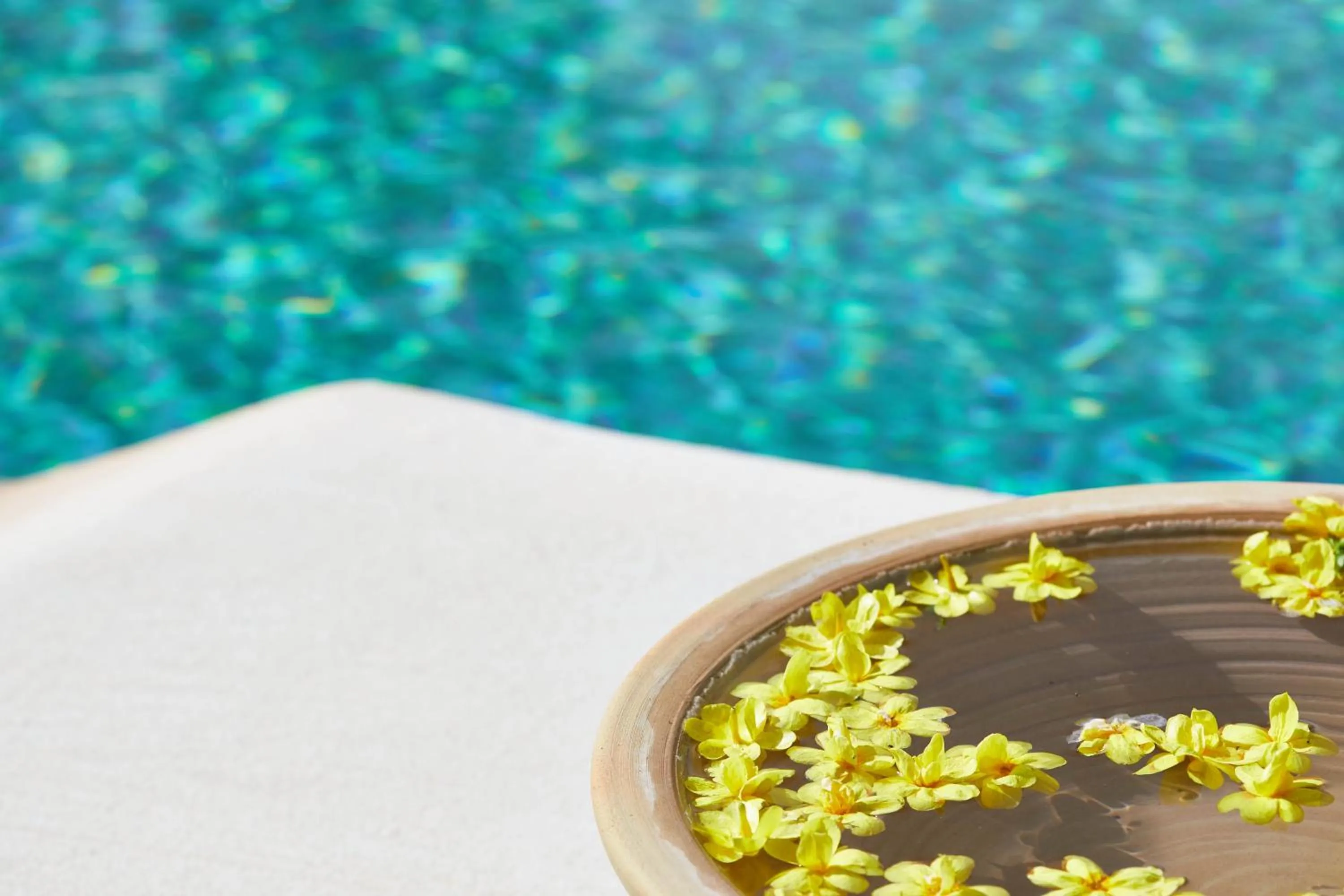Pool view in Hacienda de San Rafael