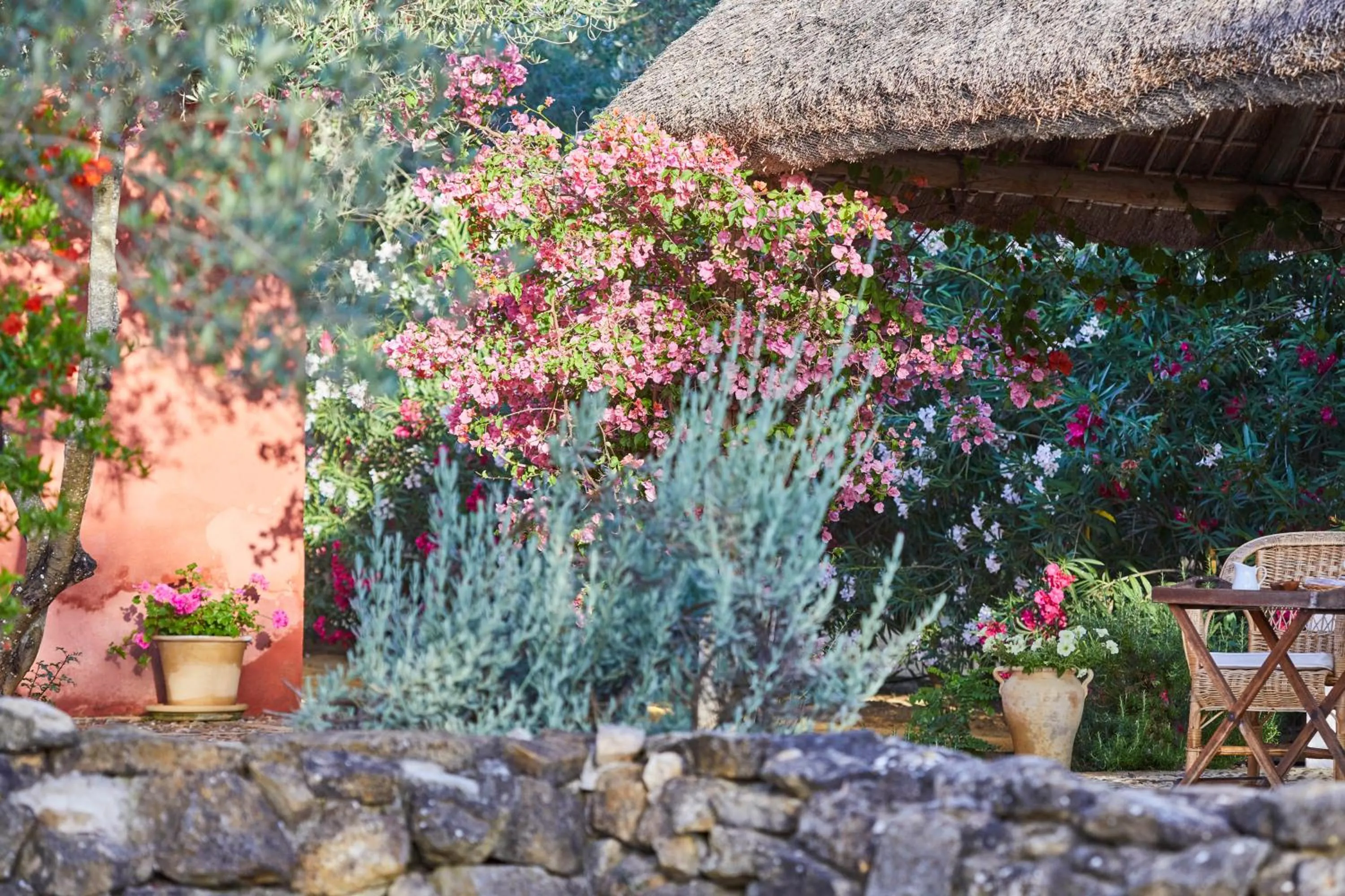 Garden view in Hacienda de San Rafael