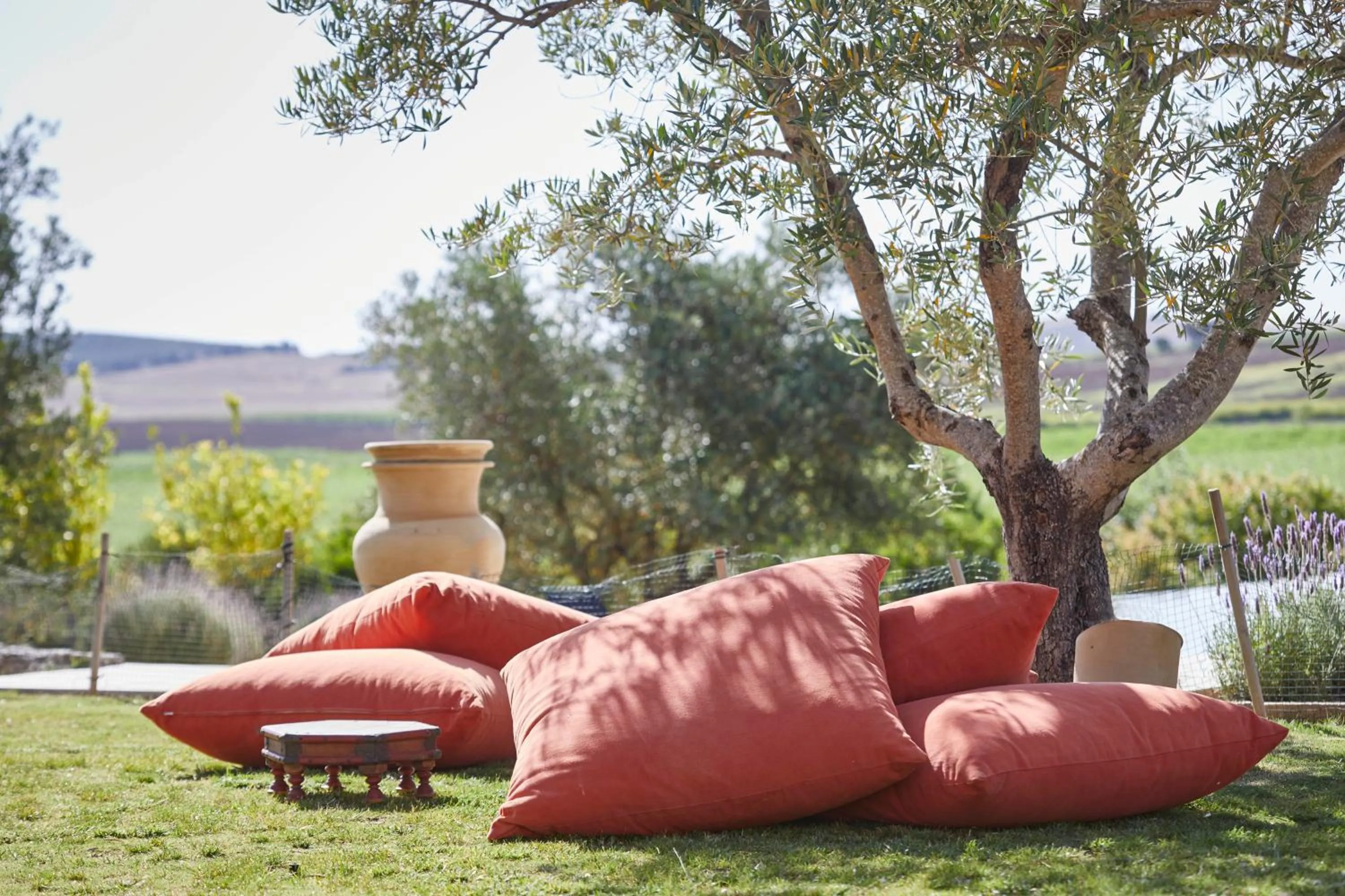 Garden in Hacienda de San Rafael