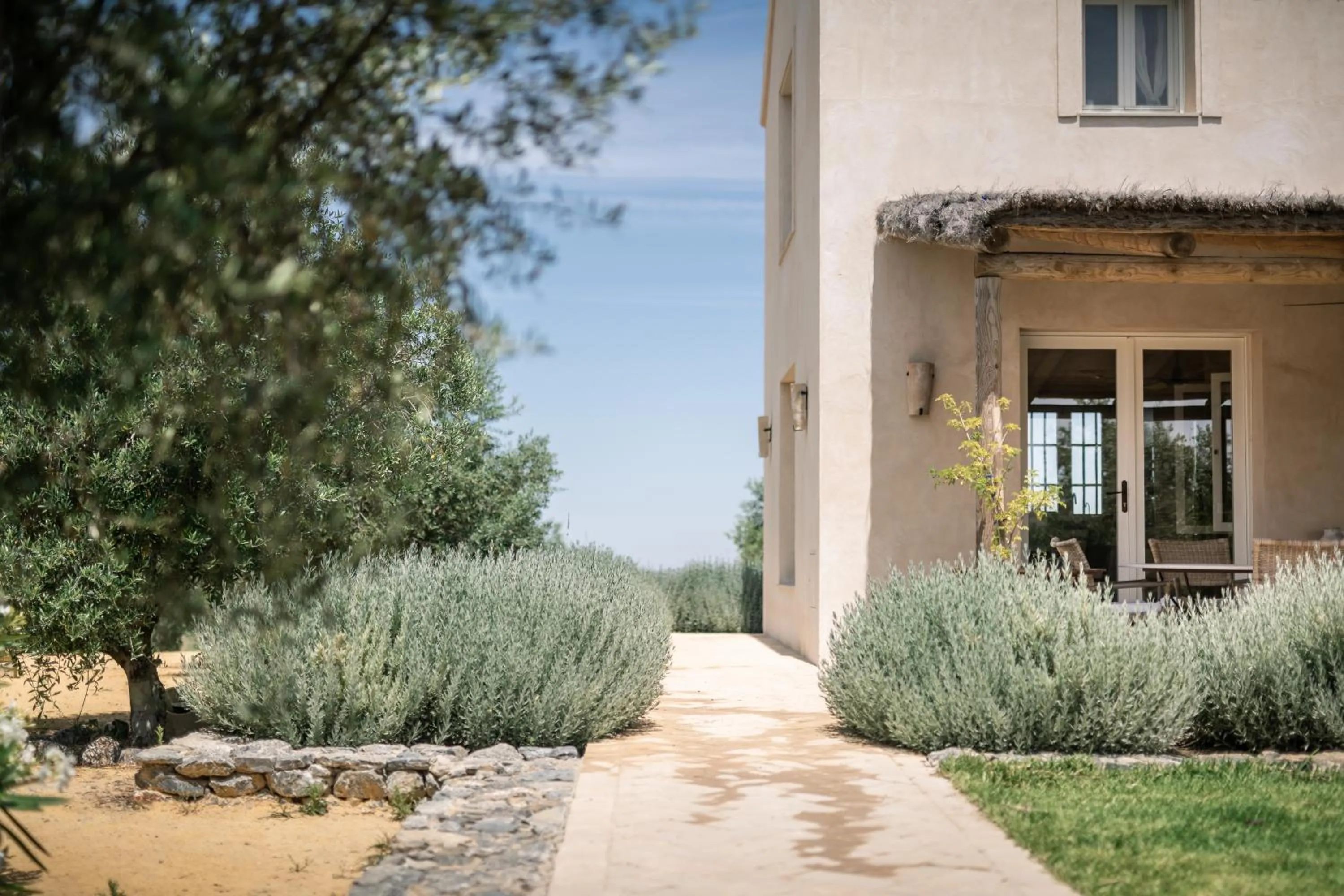 Garden in Hacienda de San Rafael